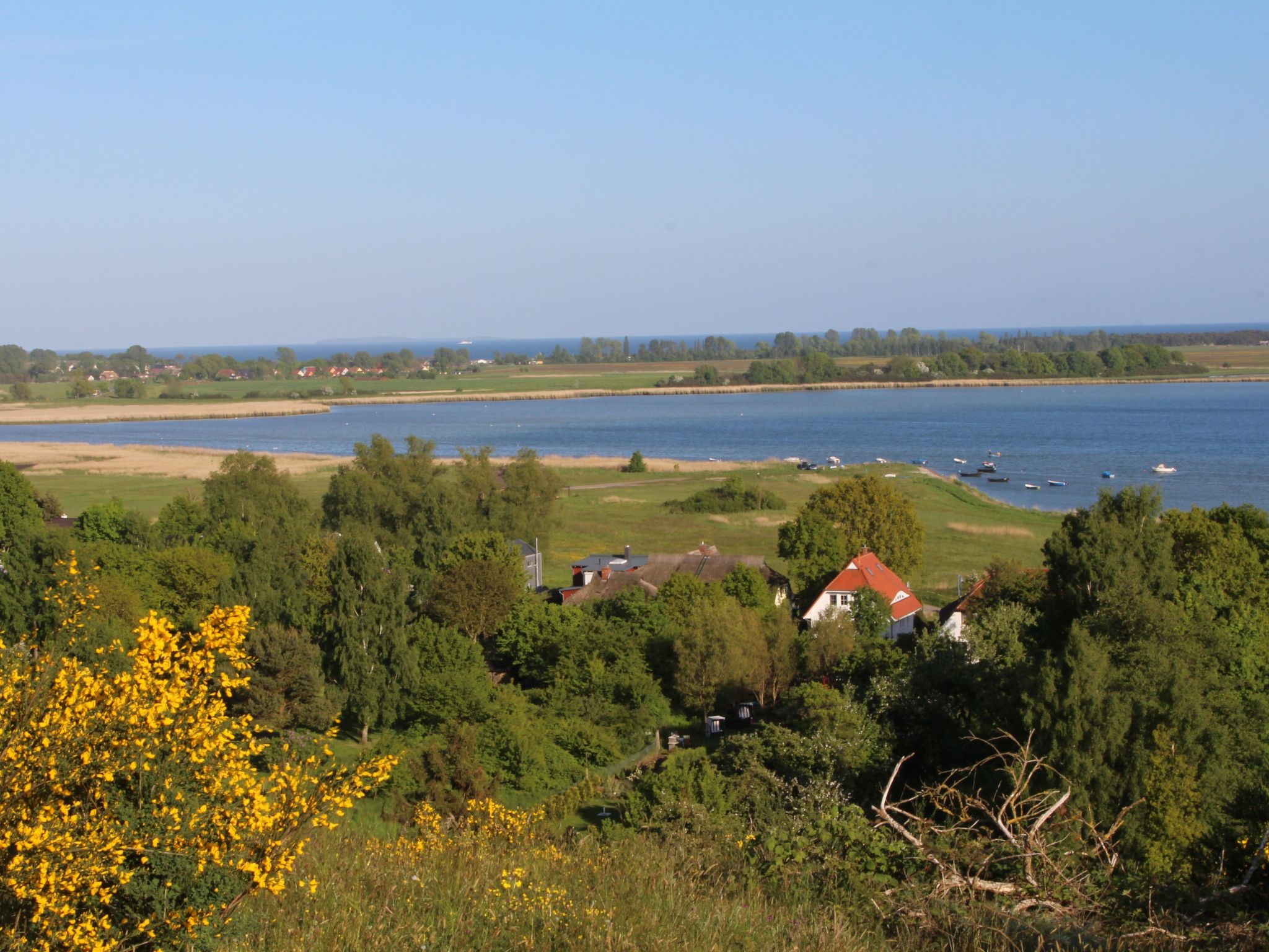 Tohus - Wigbold-Image-tags.info