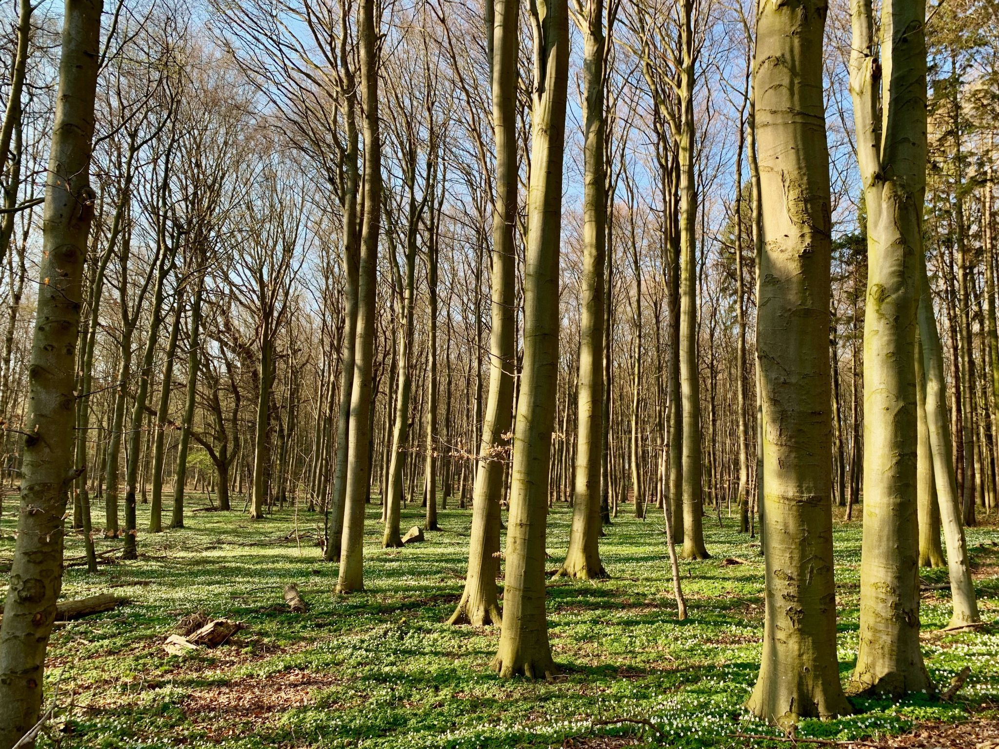 Appartement mit Balkon-Image-tags.info