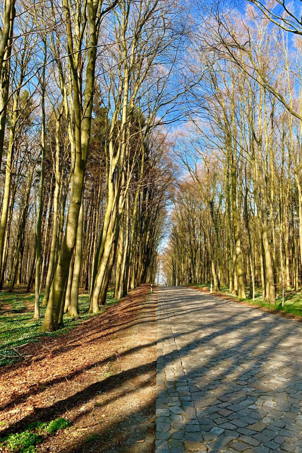 Moderne 2-Zimmer Ferienwohnung mitten in der Natur-Image-tags.info
