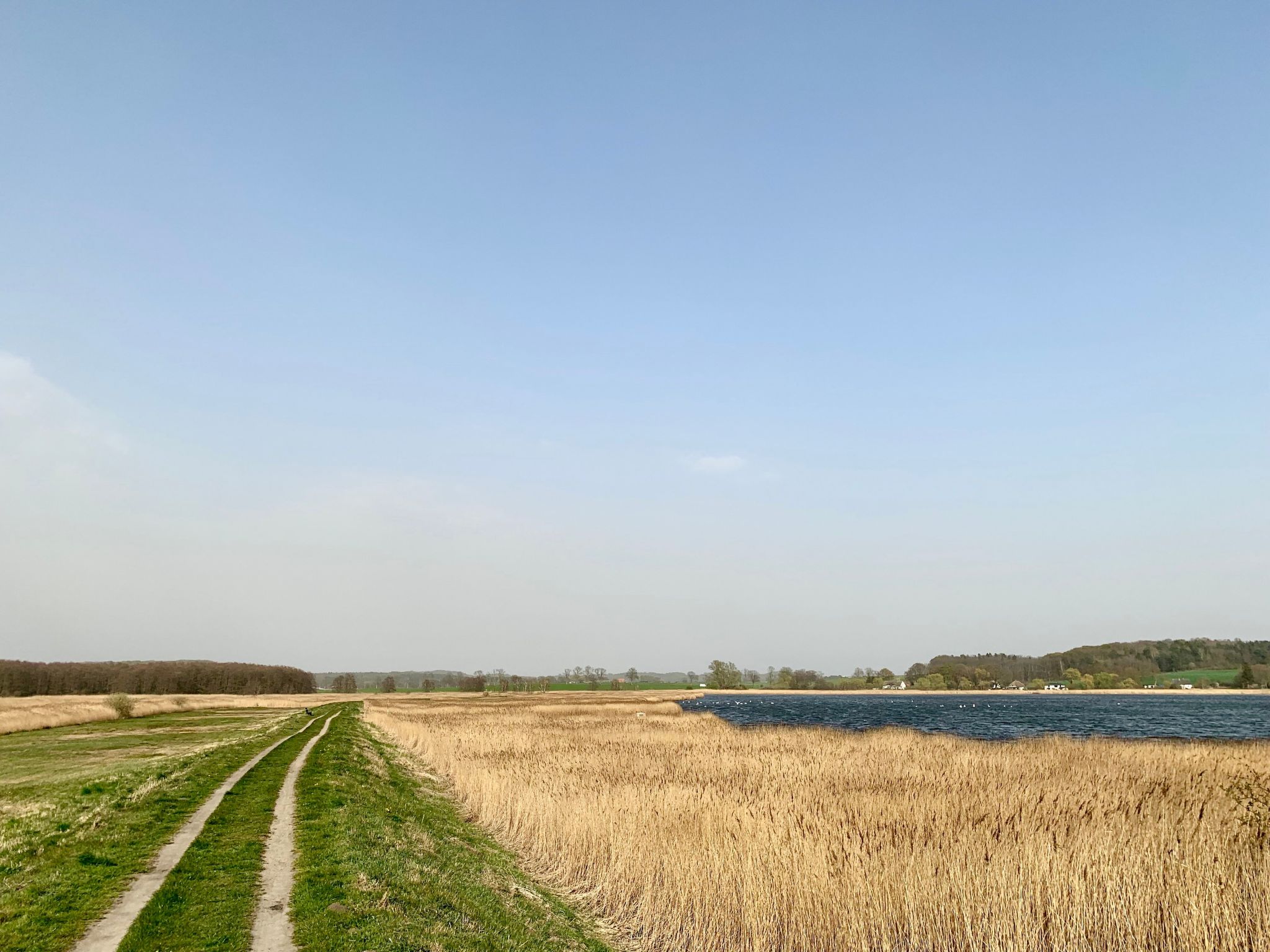 Moderne 2-Zimmer Ferienwohnung mitten in der Natur-Image-tags.info