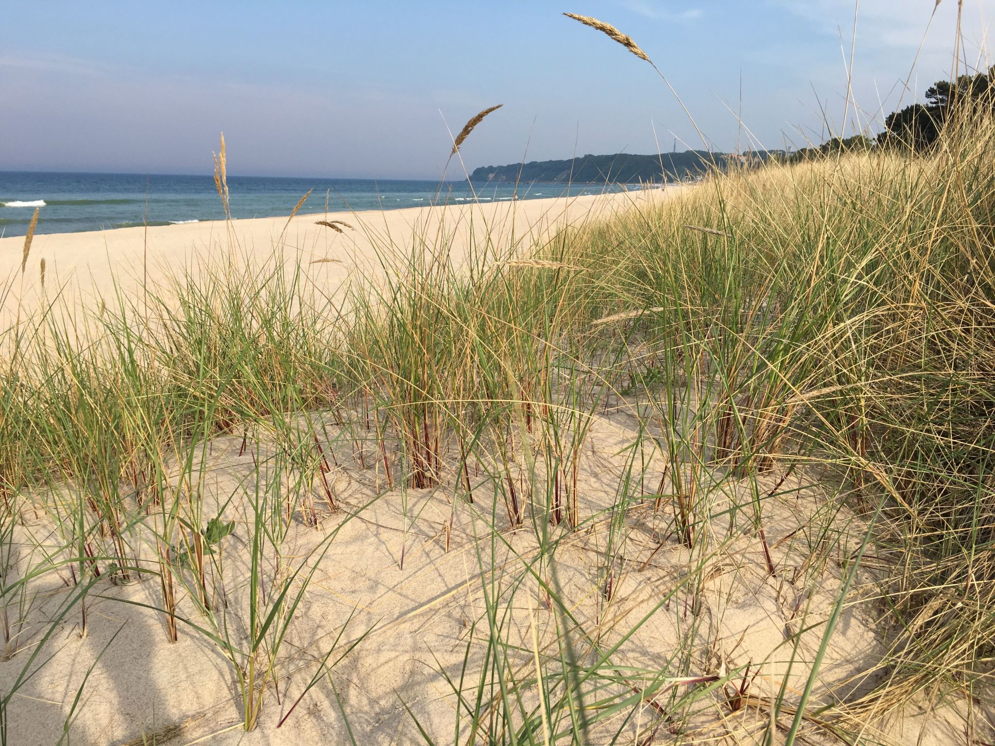 Haus Morgenstern-Binnen