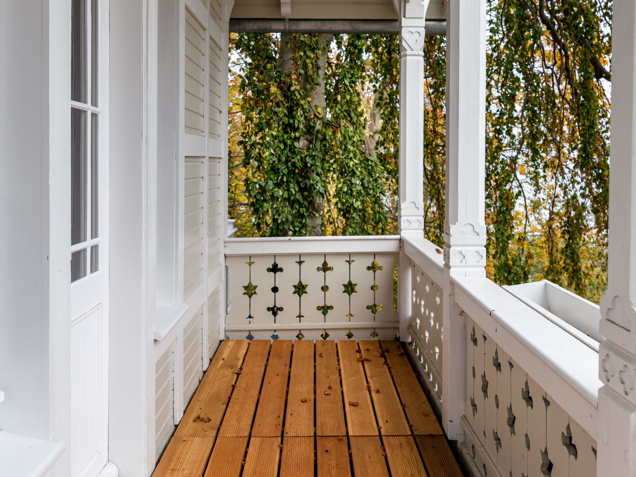 Erika in Ostseebad Göhren-Image-tags.info