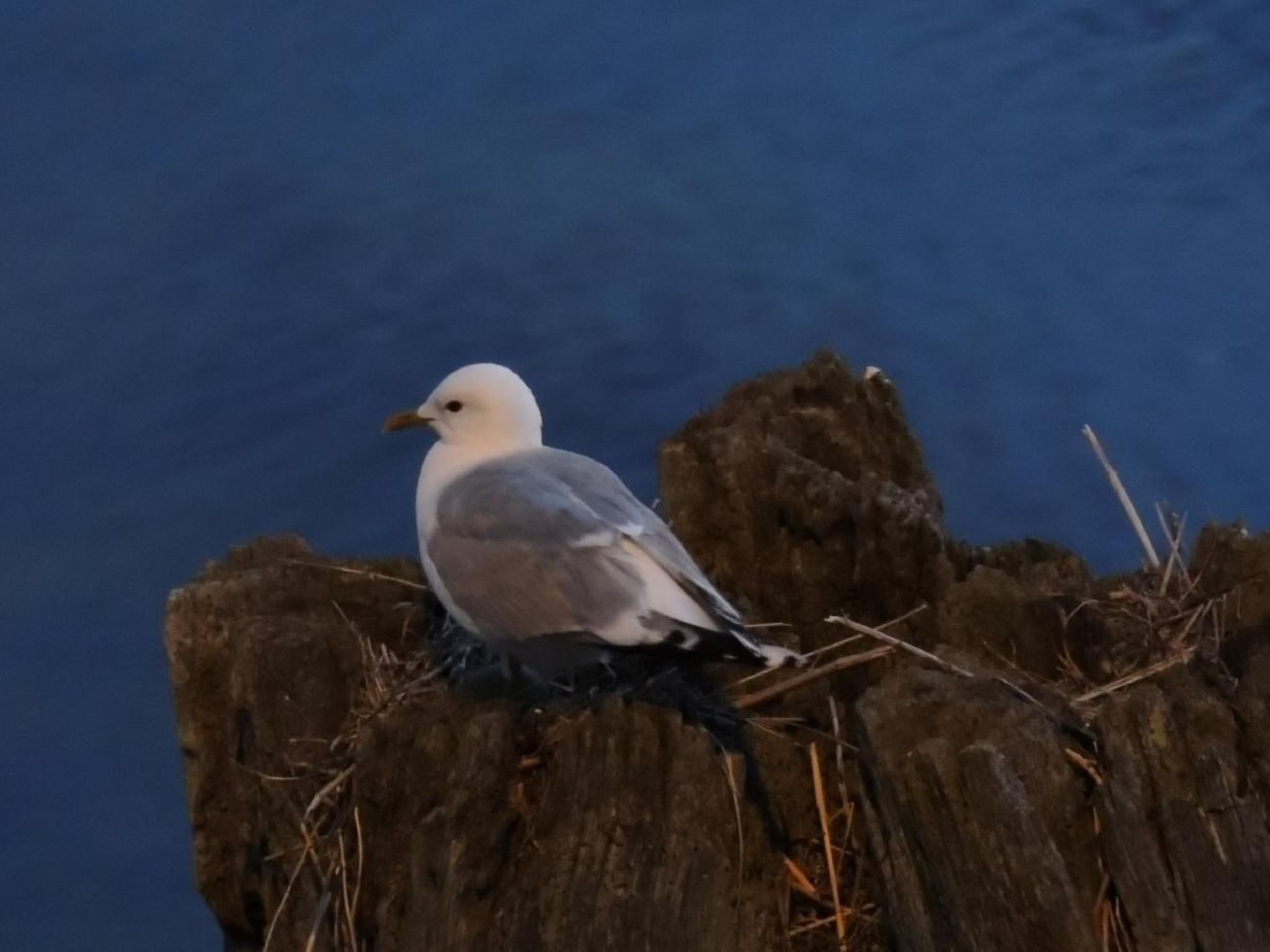 Sonnenkamp Terrassenwohnung-Binnen