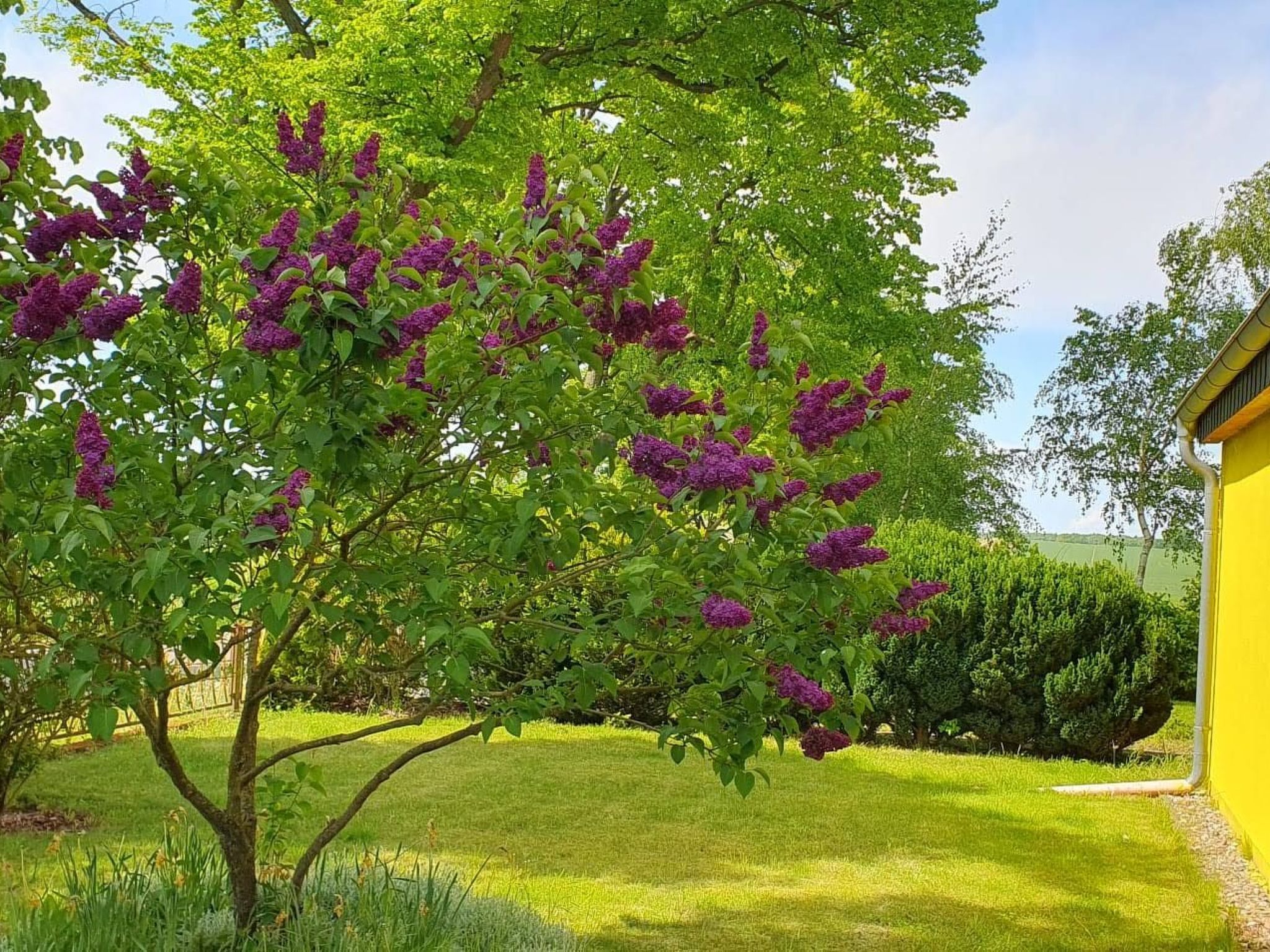 Landhaus Müritzliebe-Binnen