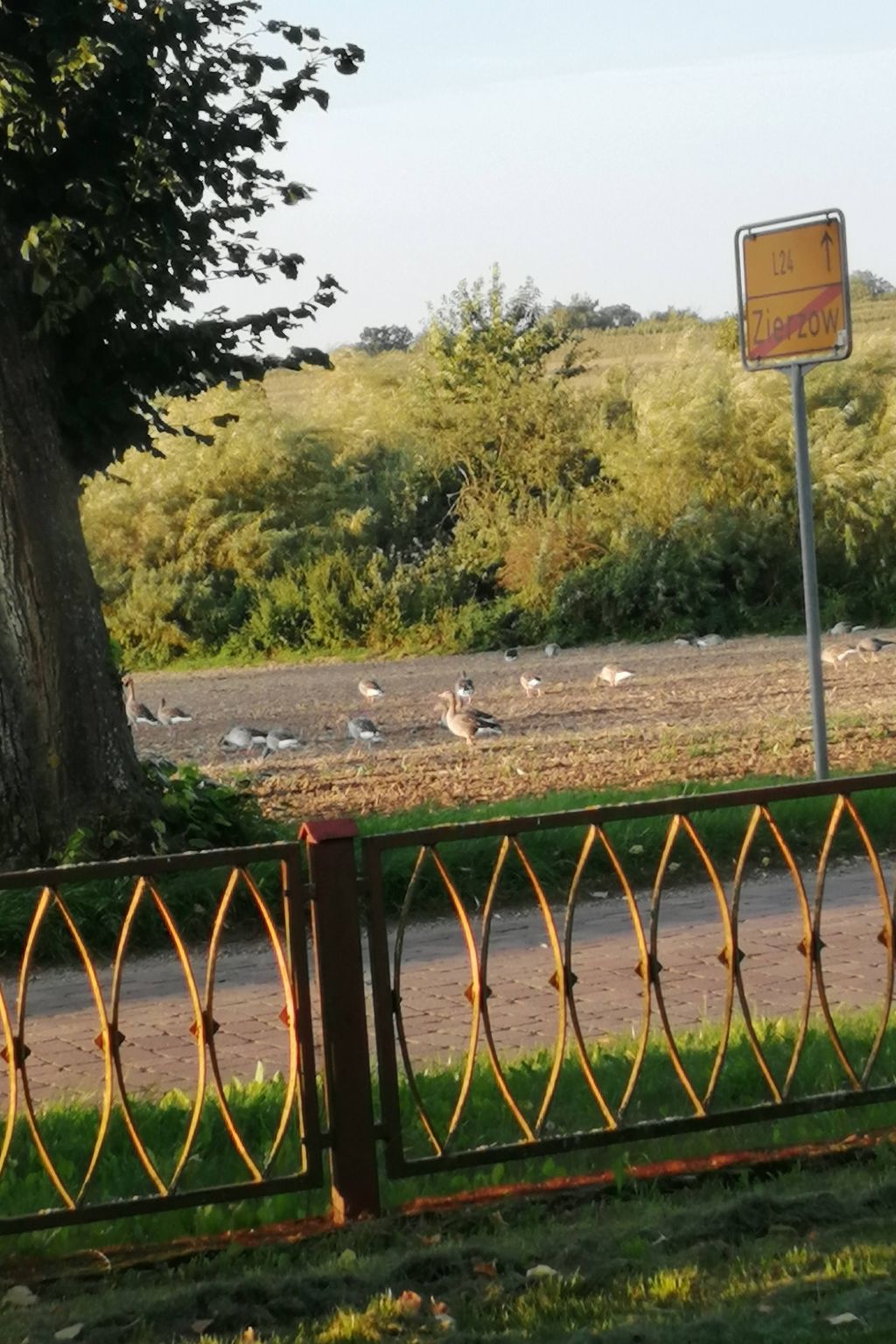Landhaus Müritzliebe-Binnen