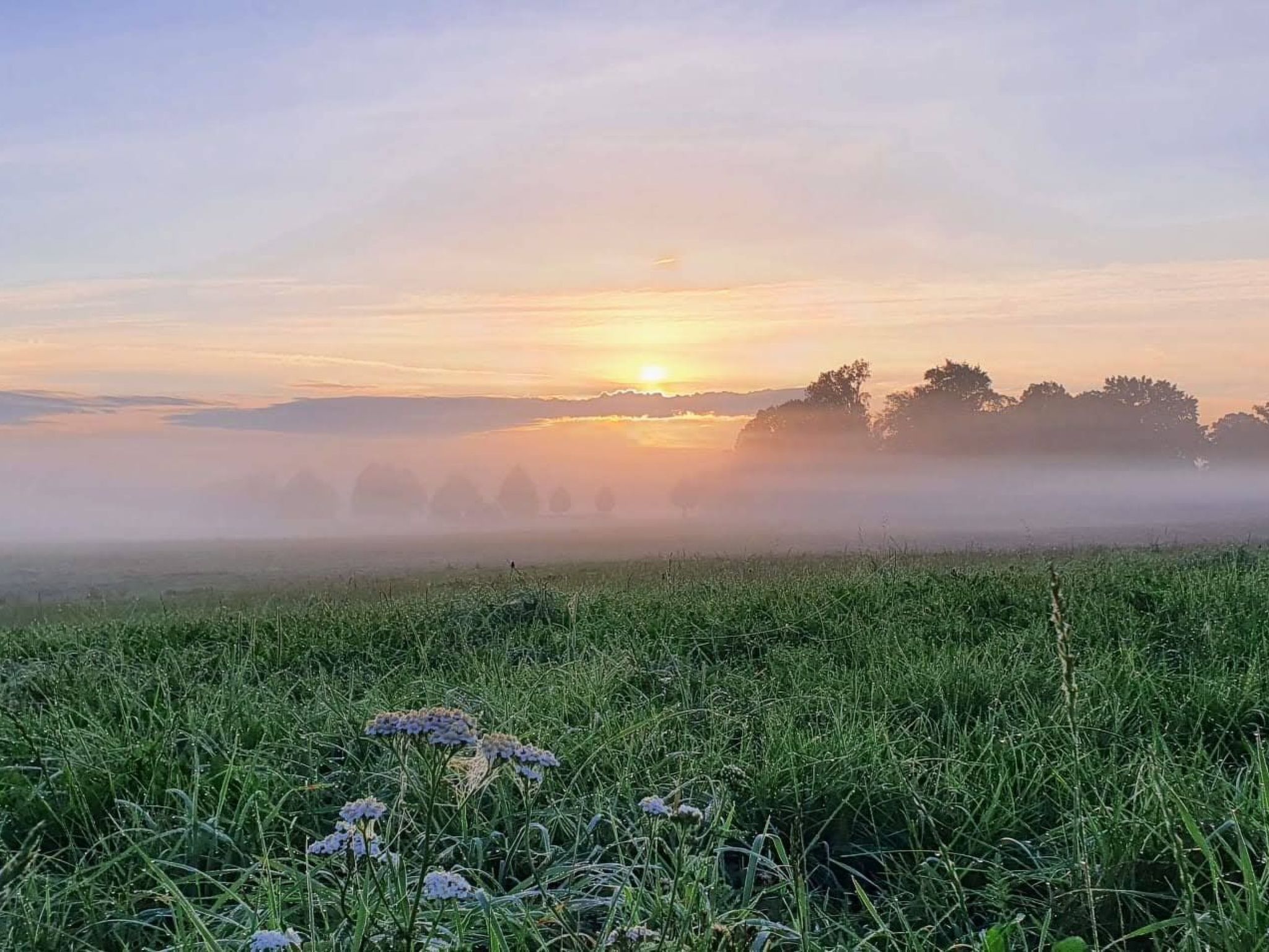 Landhaus Müritzliebe-Binnen