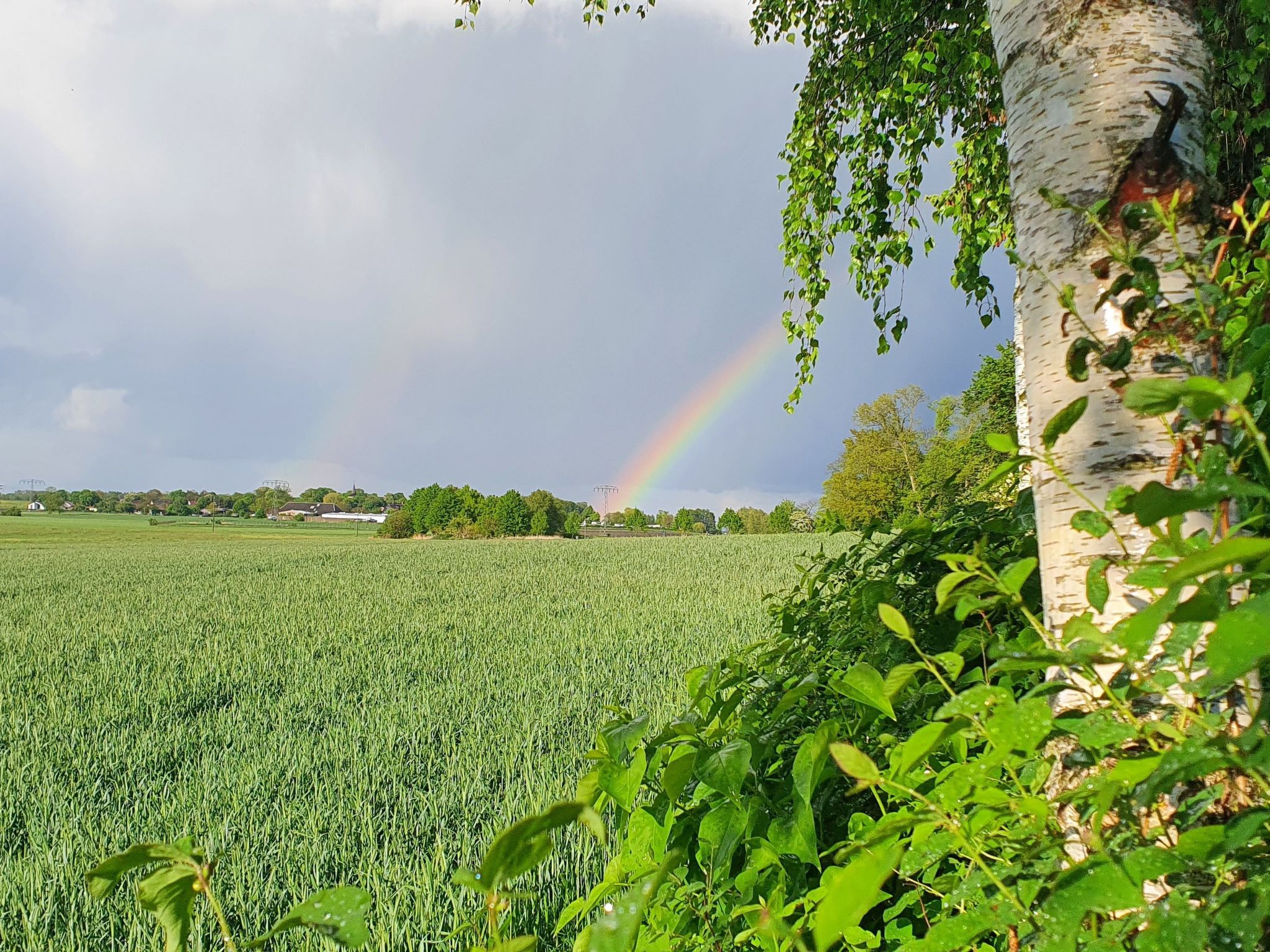 Landhaus Müritzliebe-Binnen