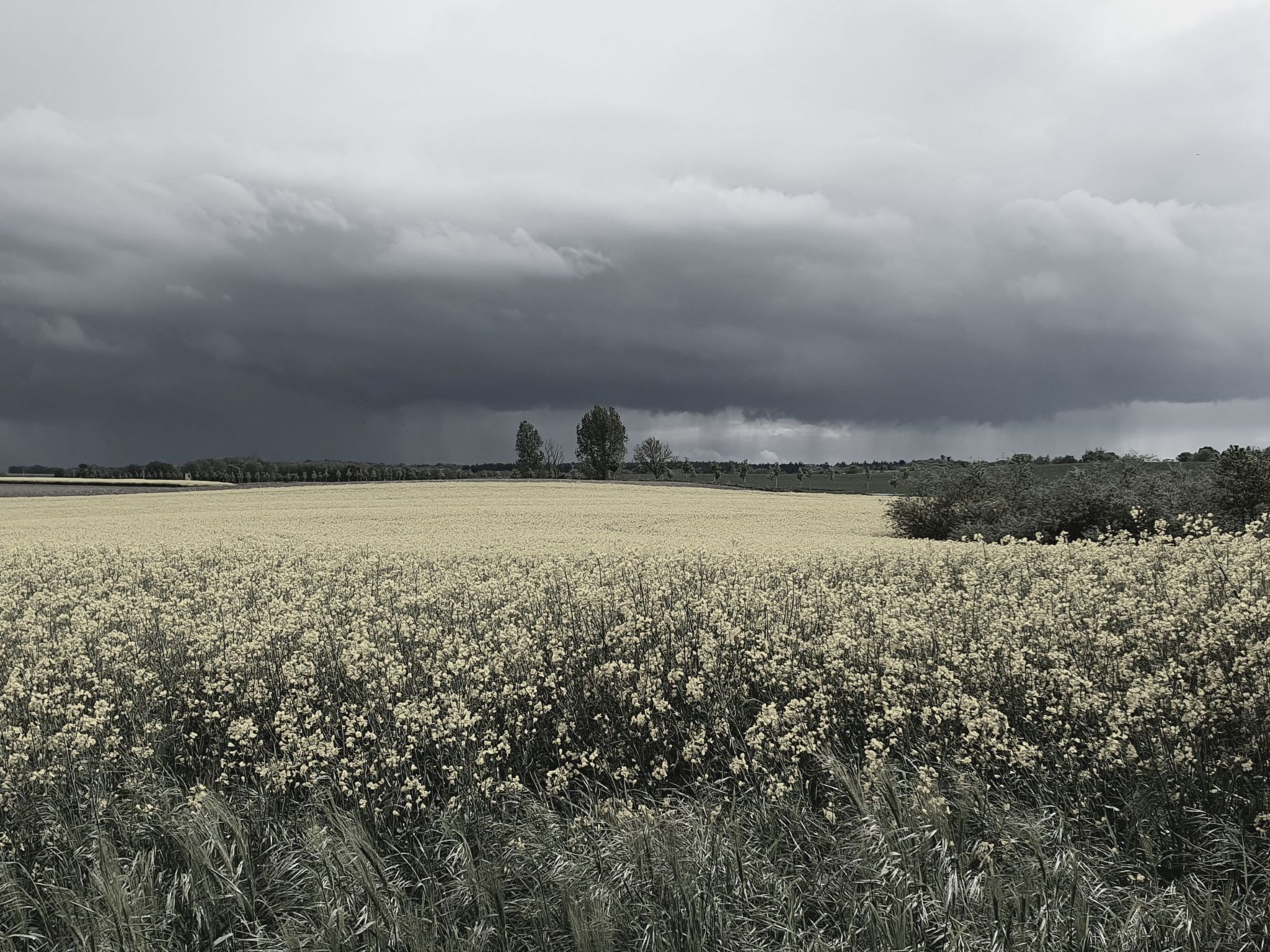 Landhaus Müritzliebe-Binnen