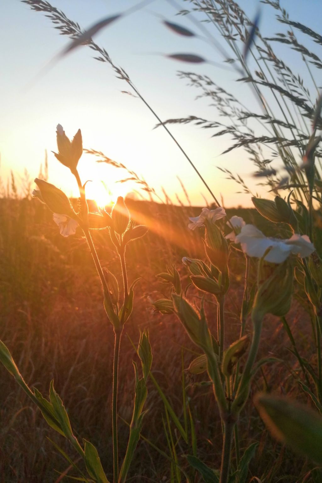 Landhaus Müritzliebe-Binnen