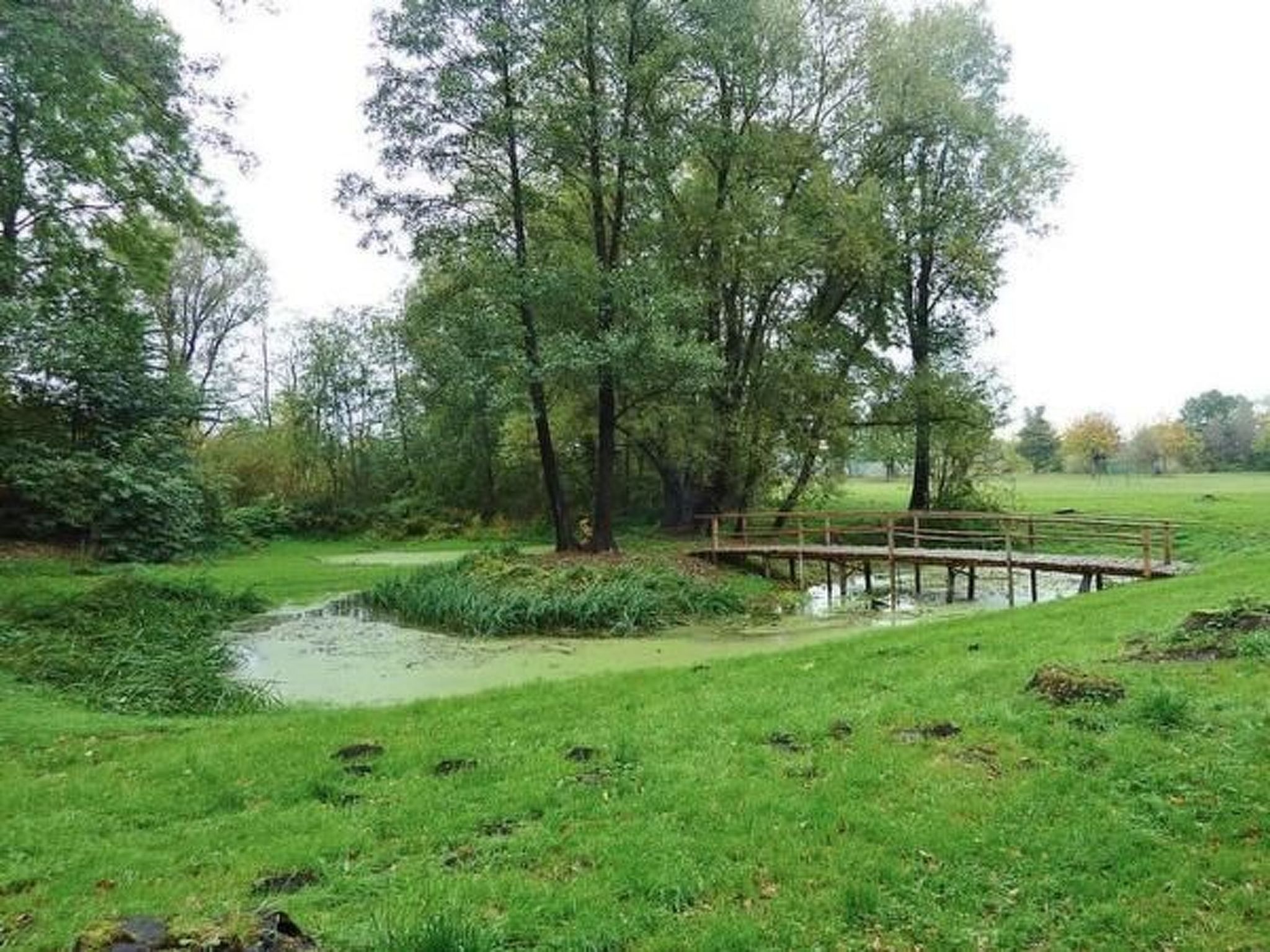 In Ludorf mit Garten und Terrasse-Binnen