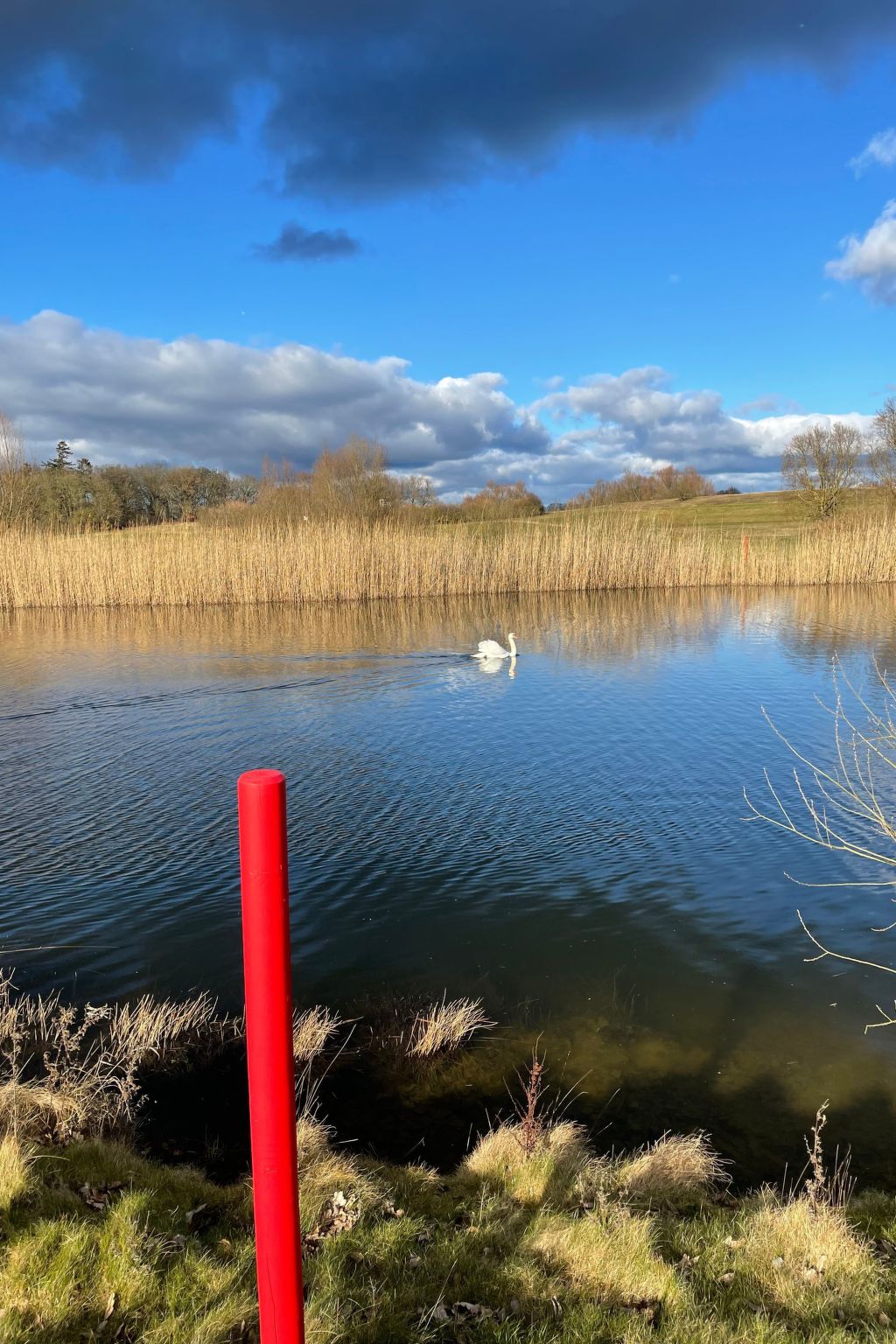 Vakantiehuis met omheinde tuin in Göhren-Lebbin (Duitsland) 1 hond is welkom