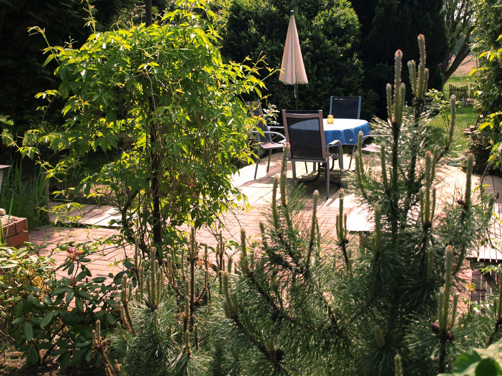 Wohnung in Wendhof mit Garten, Grill und Terrasse-Image-tags.info