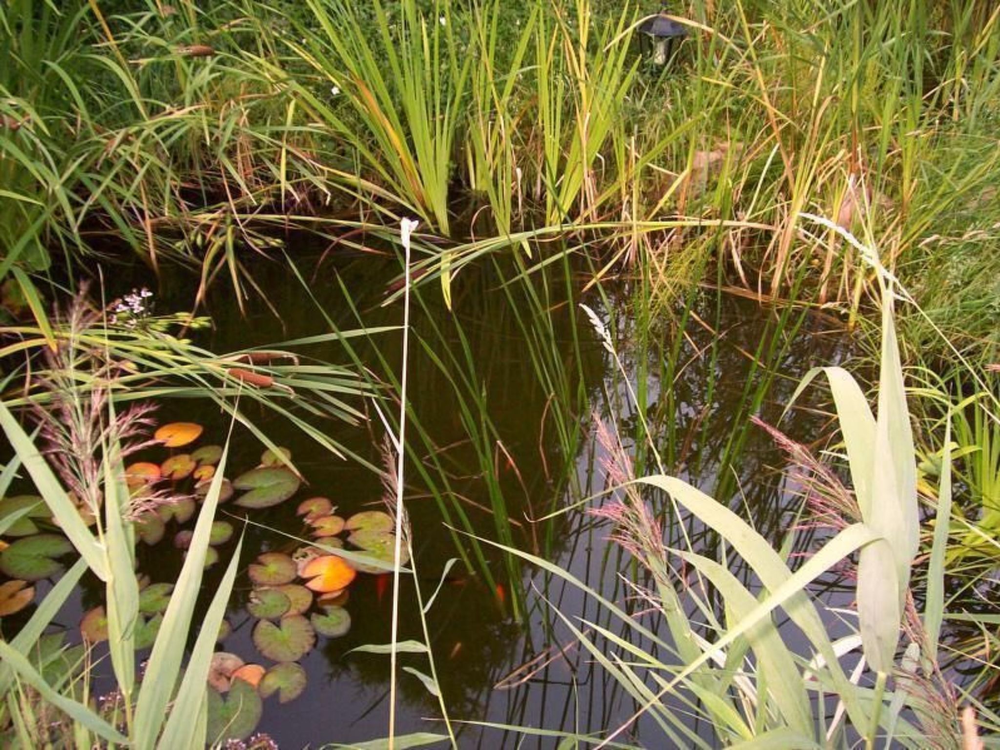 Wohnung in Wendhof mit Garten, Grill und Terrasse-Image-tags.info