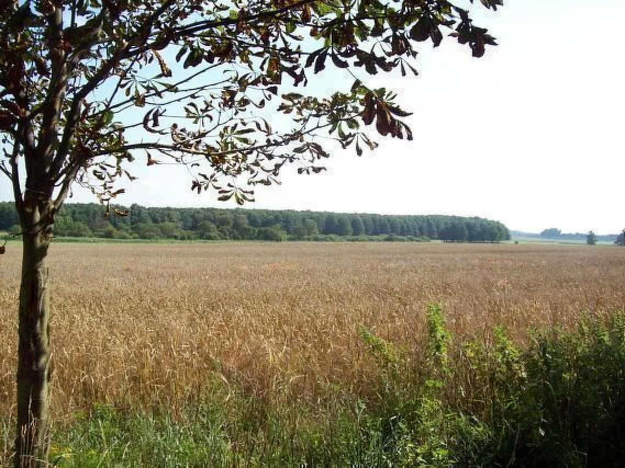 Wohnung in Wendhof mit Garten, Grill und Terrasse-Image-tags.info