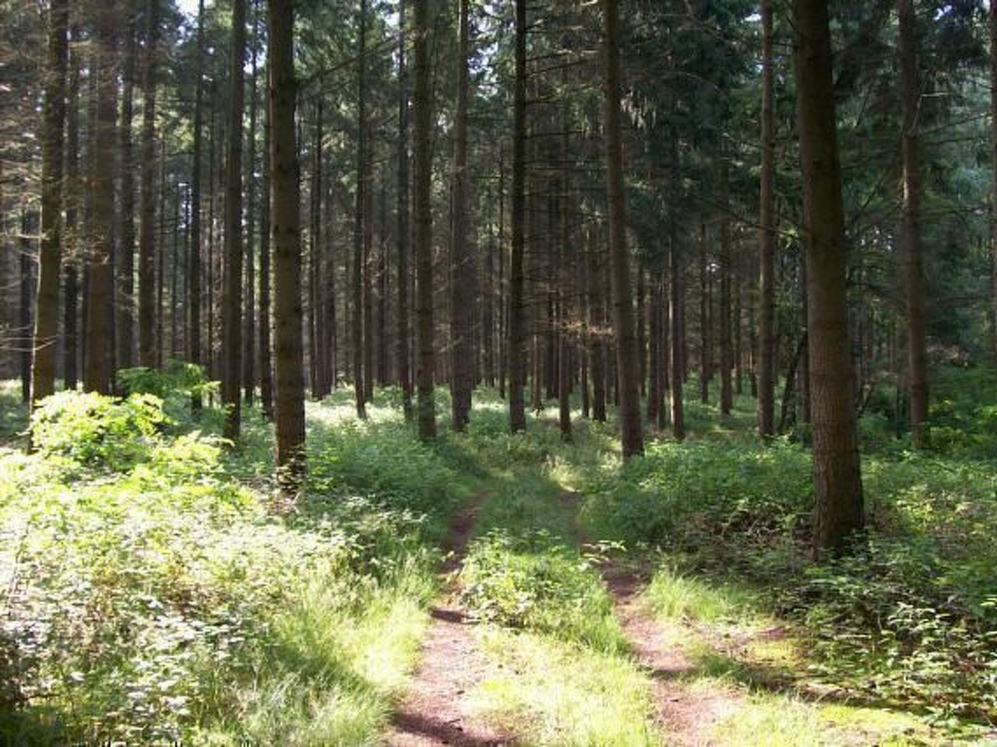 Wohnung in Wendhof mit Garten, Grill und Terrasse-Image-tags.info