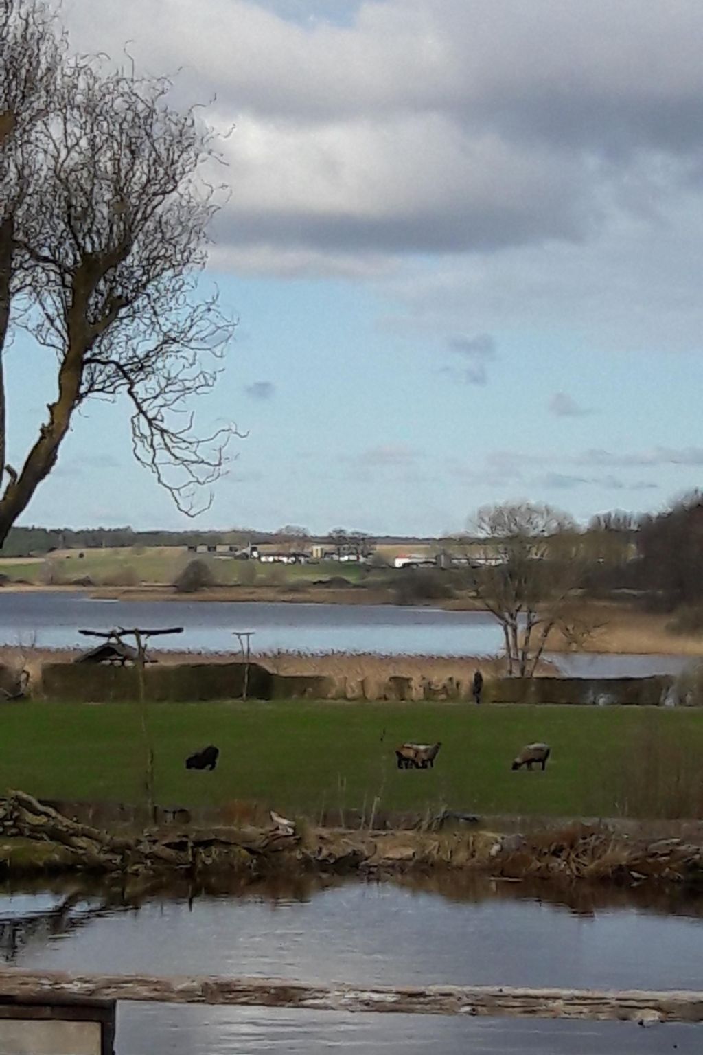 Am See in Blankensee-Groß Schönfeld-Image-tags.info