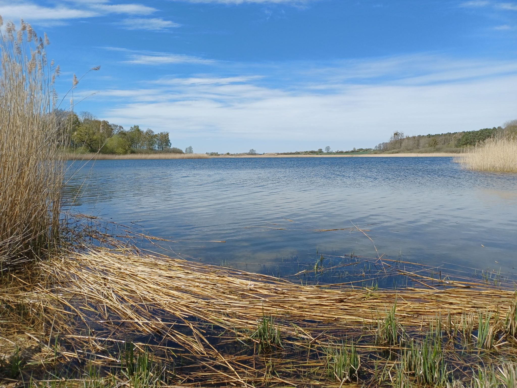 Am See in Blankensee-Groß Schönfeld-Image-tags.info