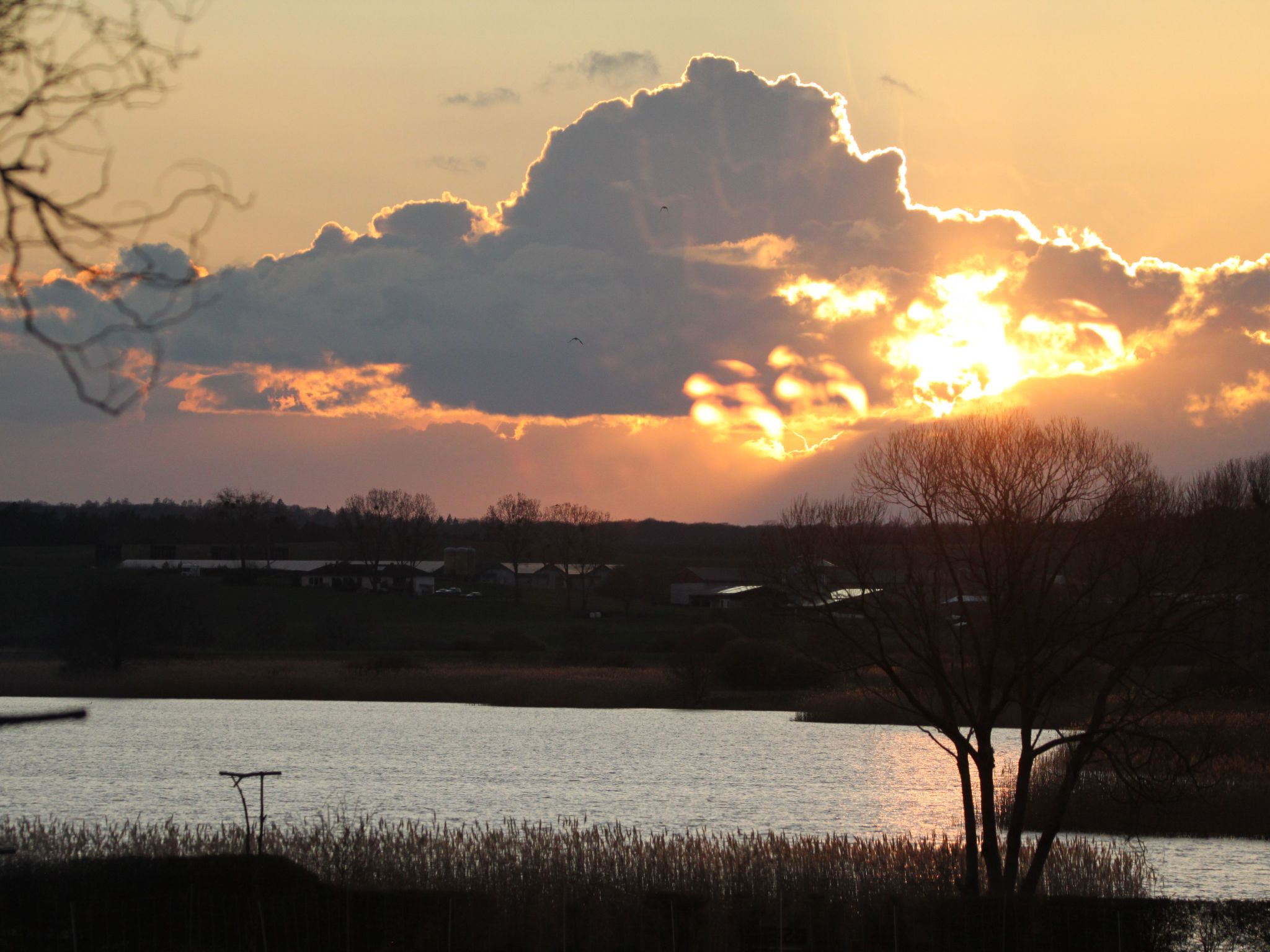 Am See in Blankensee-Groß Schönfeld-Image-tags.info