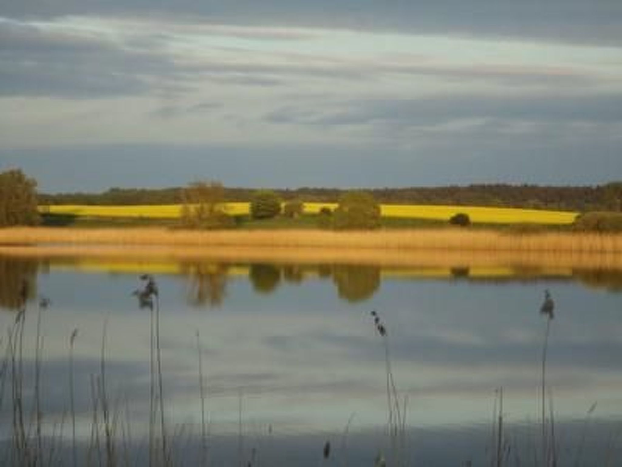 Großzügige Ferienwohnung mit toller Aussicht-Image-tags.info