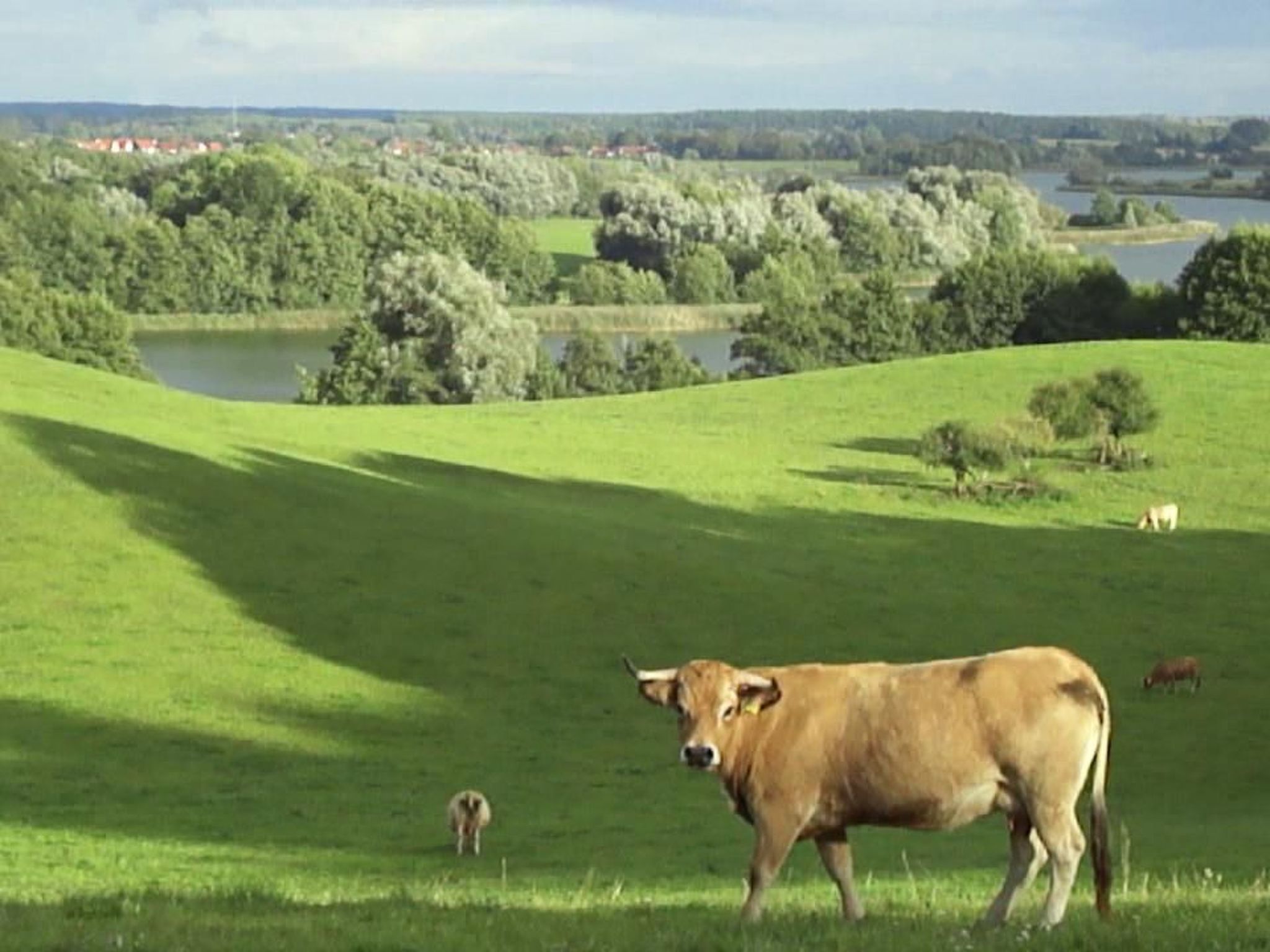 Großzügige Ferienwohnung mit toller Aussicht-Image-tags.info