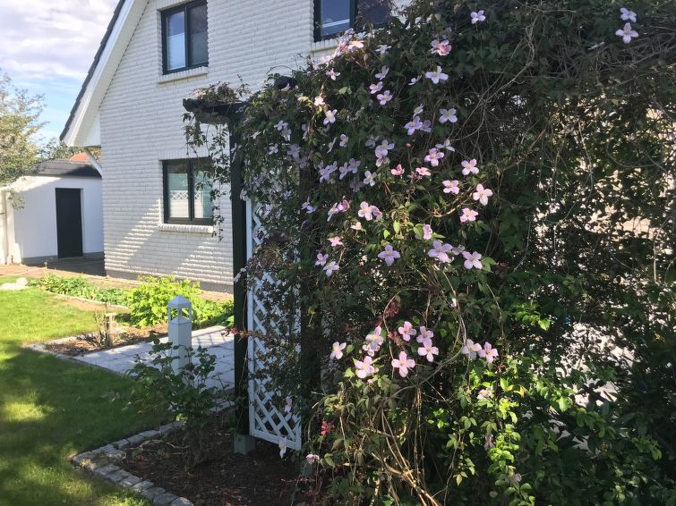Wohnung Am Stadtrand - Greifswald