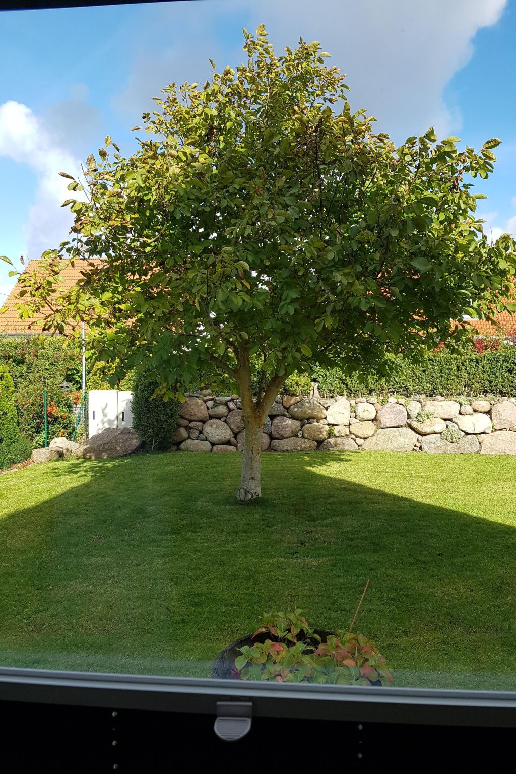 Ankerplatz in Börgerende-Rethwisch-Binnen