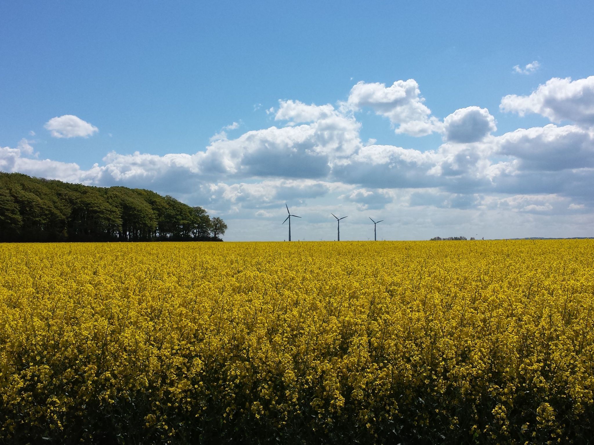 Ankerplatz in Börgerende-Rethwisch-Binnen