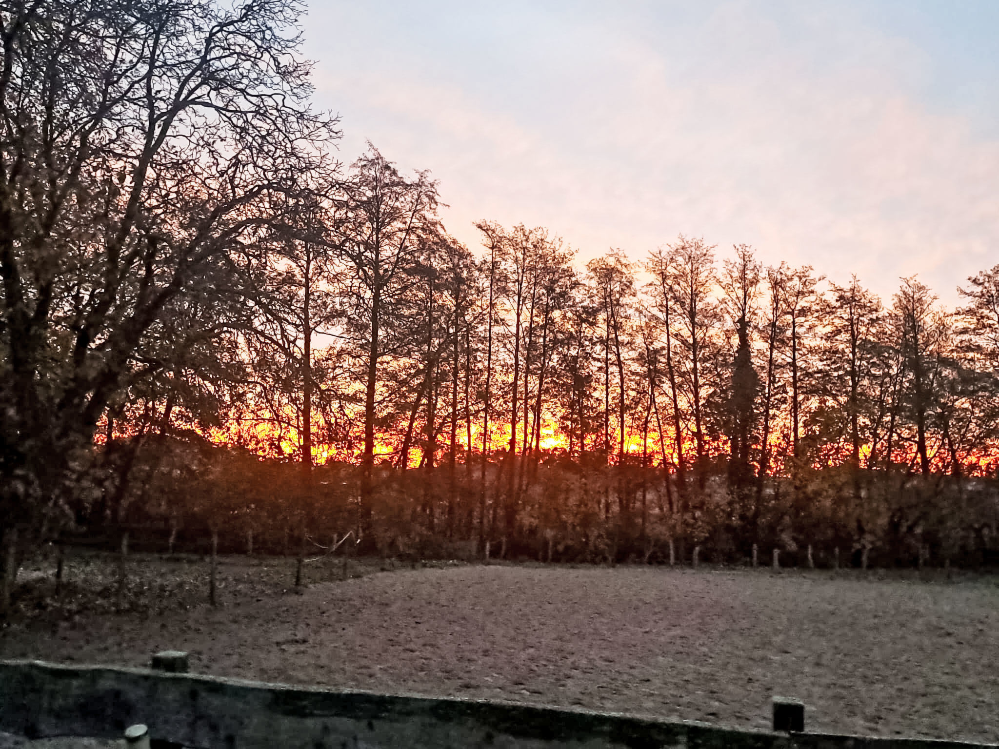 Schlönis Koppelblick - Binnen