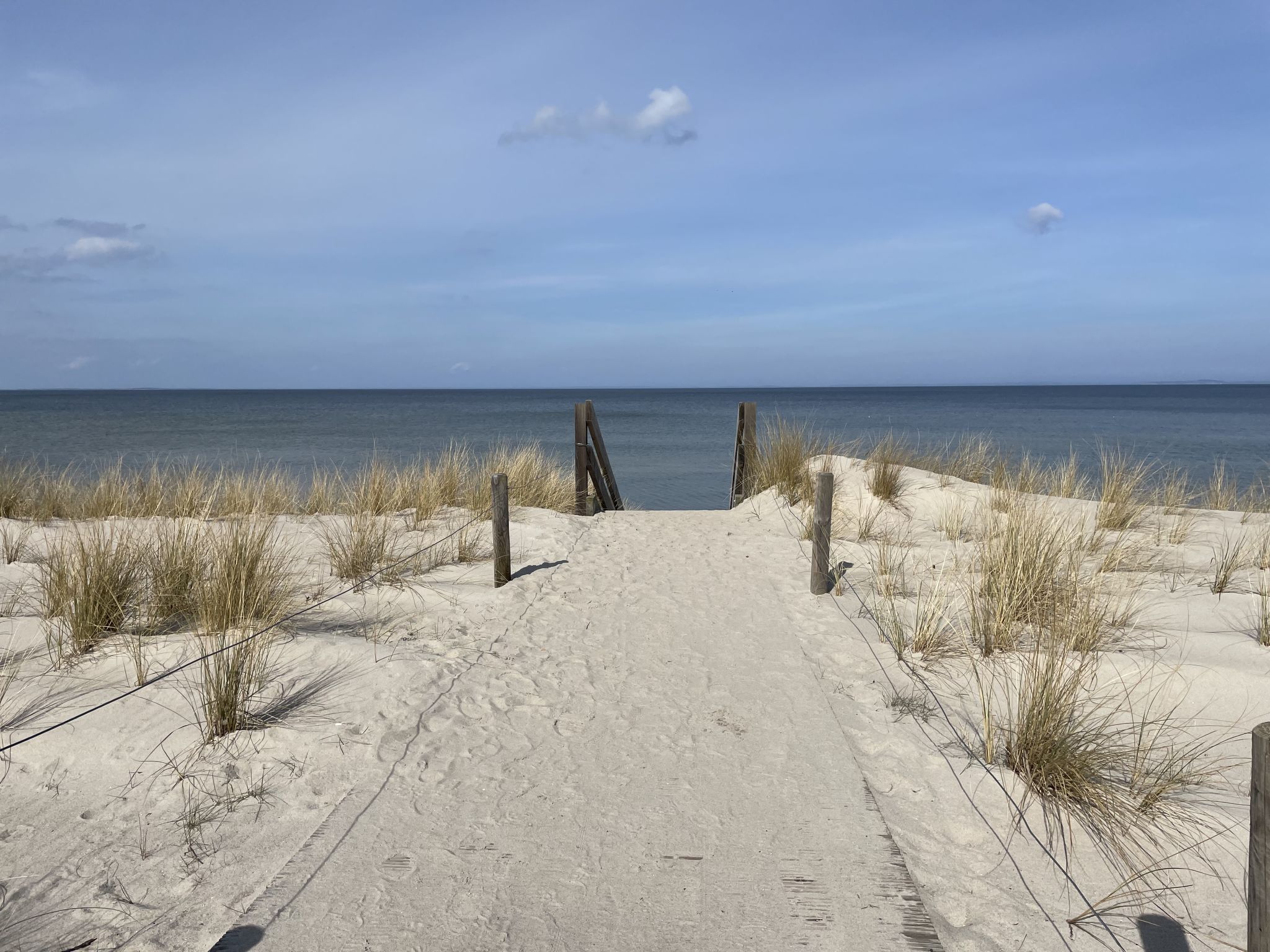 Blaumuschel-Omgeving