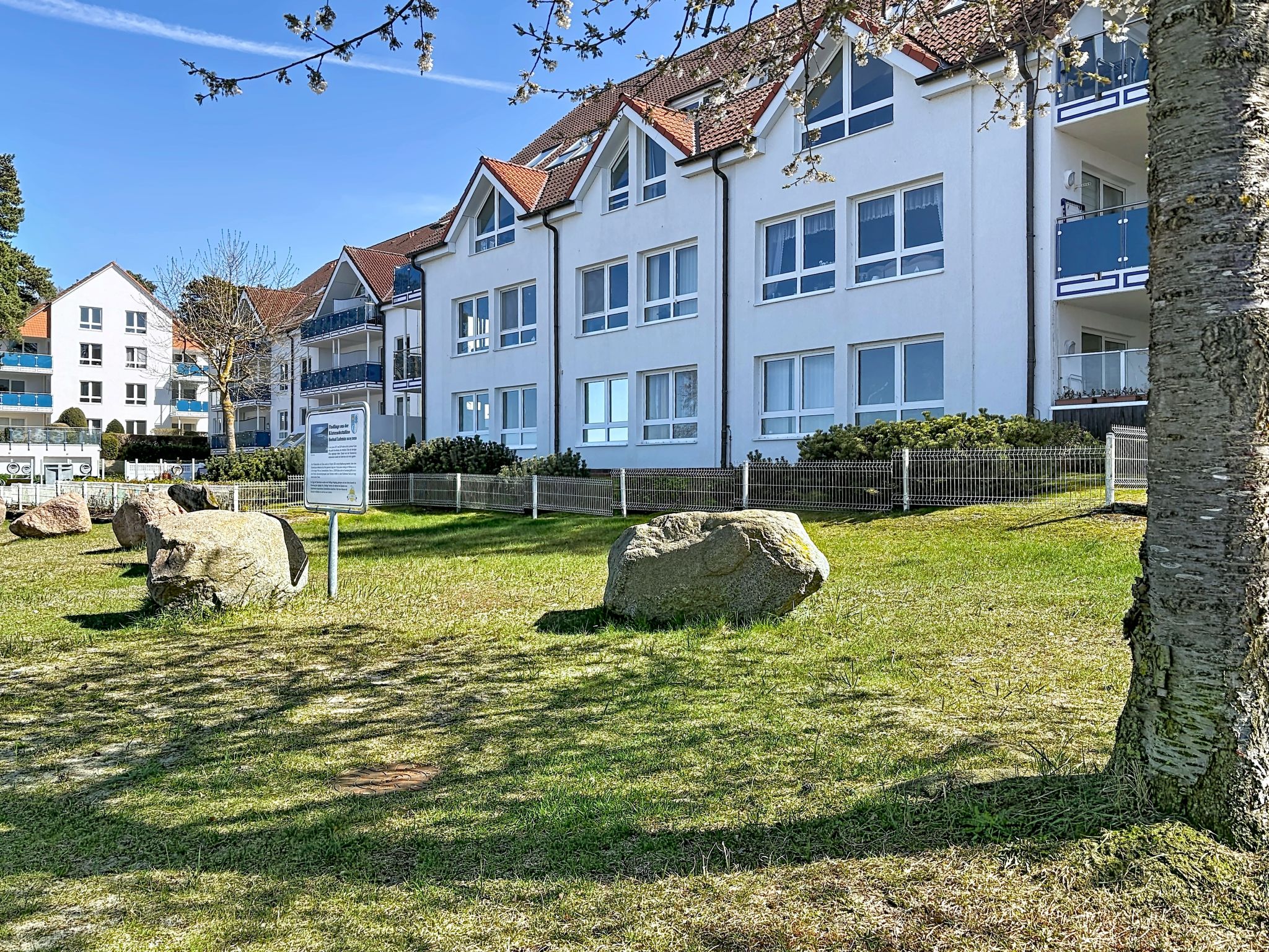 Blaumuschel
