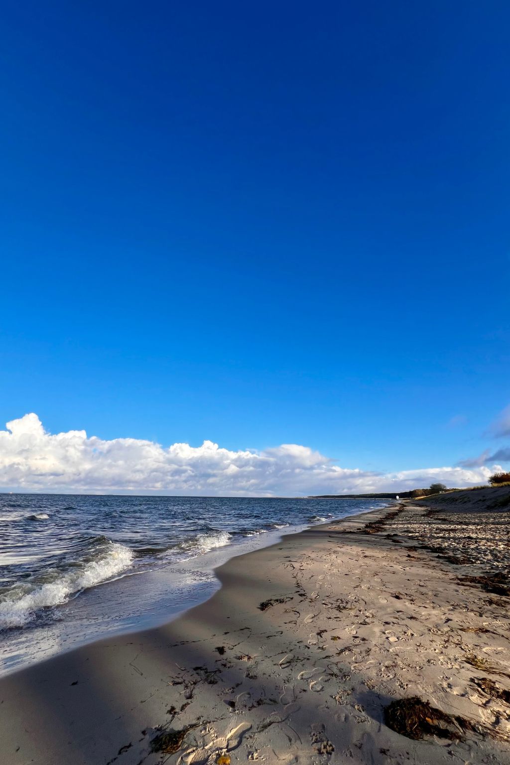 Stormy im Nauticum-Binnen