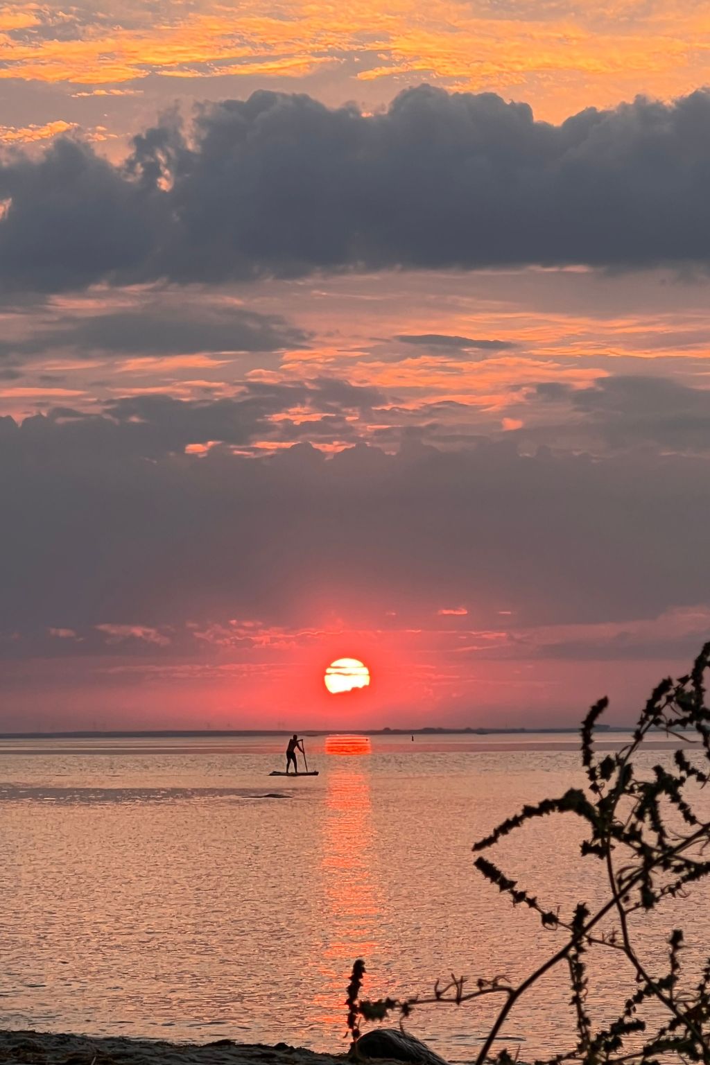 Stormy im Nauticum-Binnen