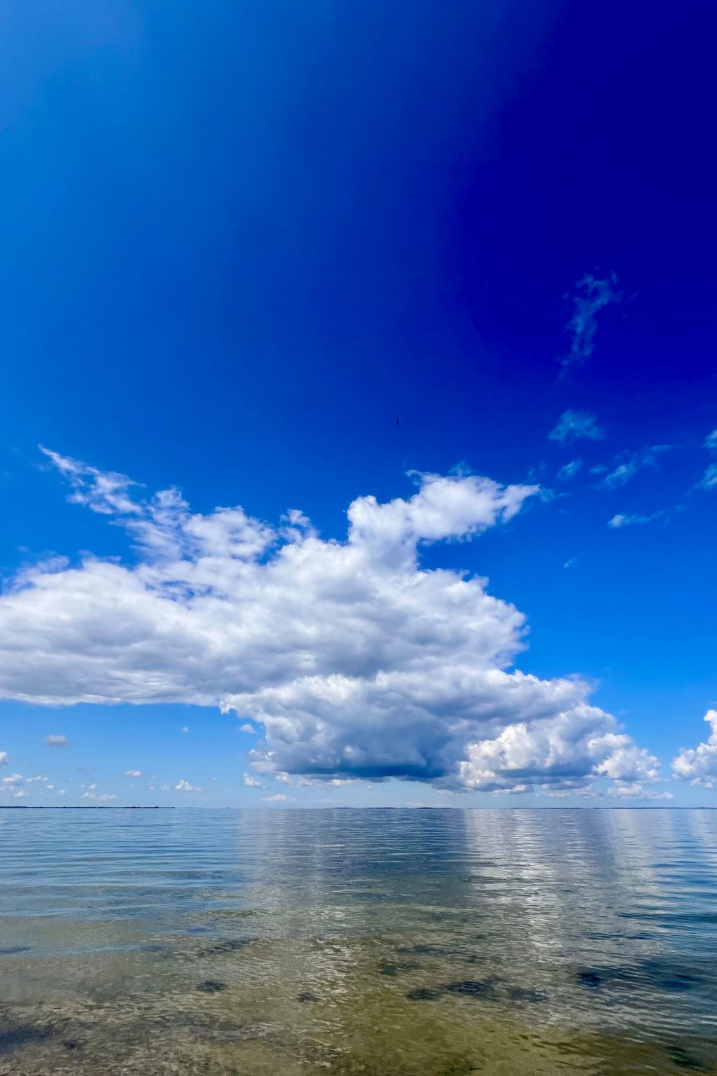 Stormy im Nauticum-Binnen