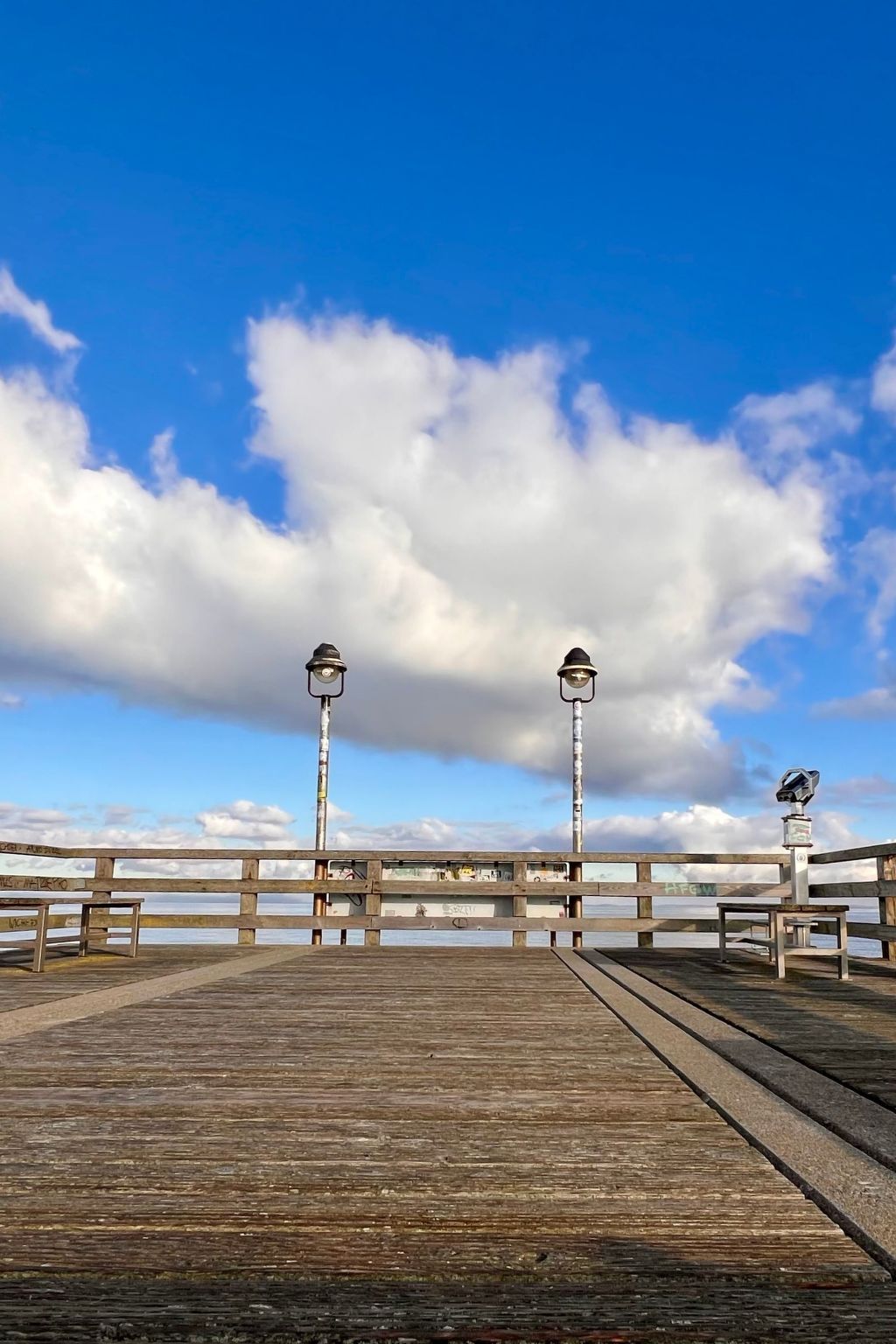 Lobster im Nauticum-Inside