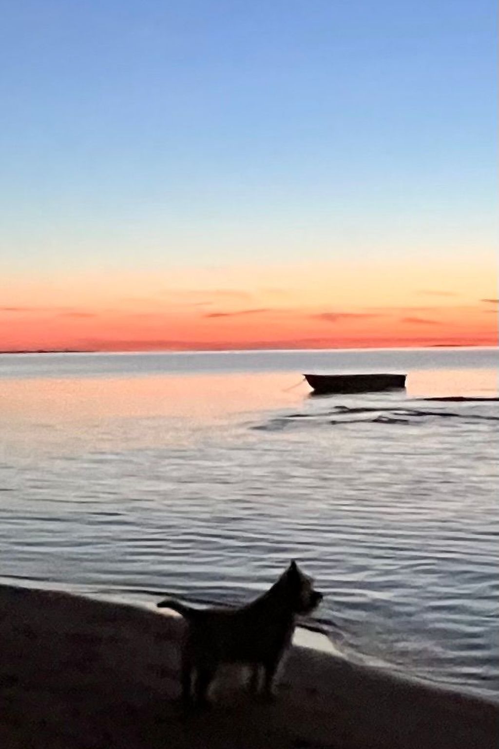 Lobster im Nauticum-Inside