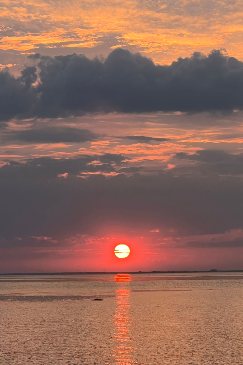 Lobster im Nauticum-Inside