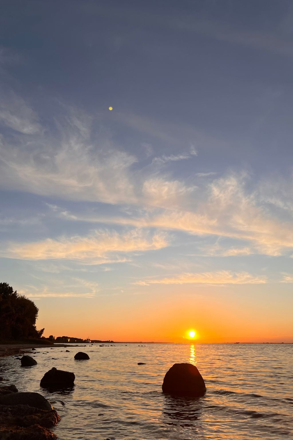 Lobster im Nauticum-Inside