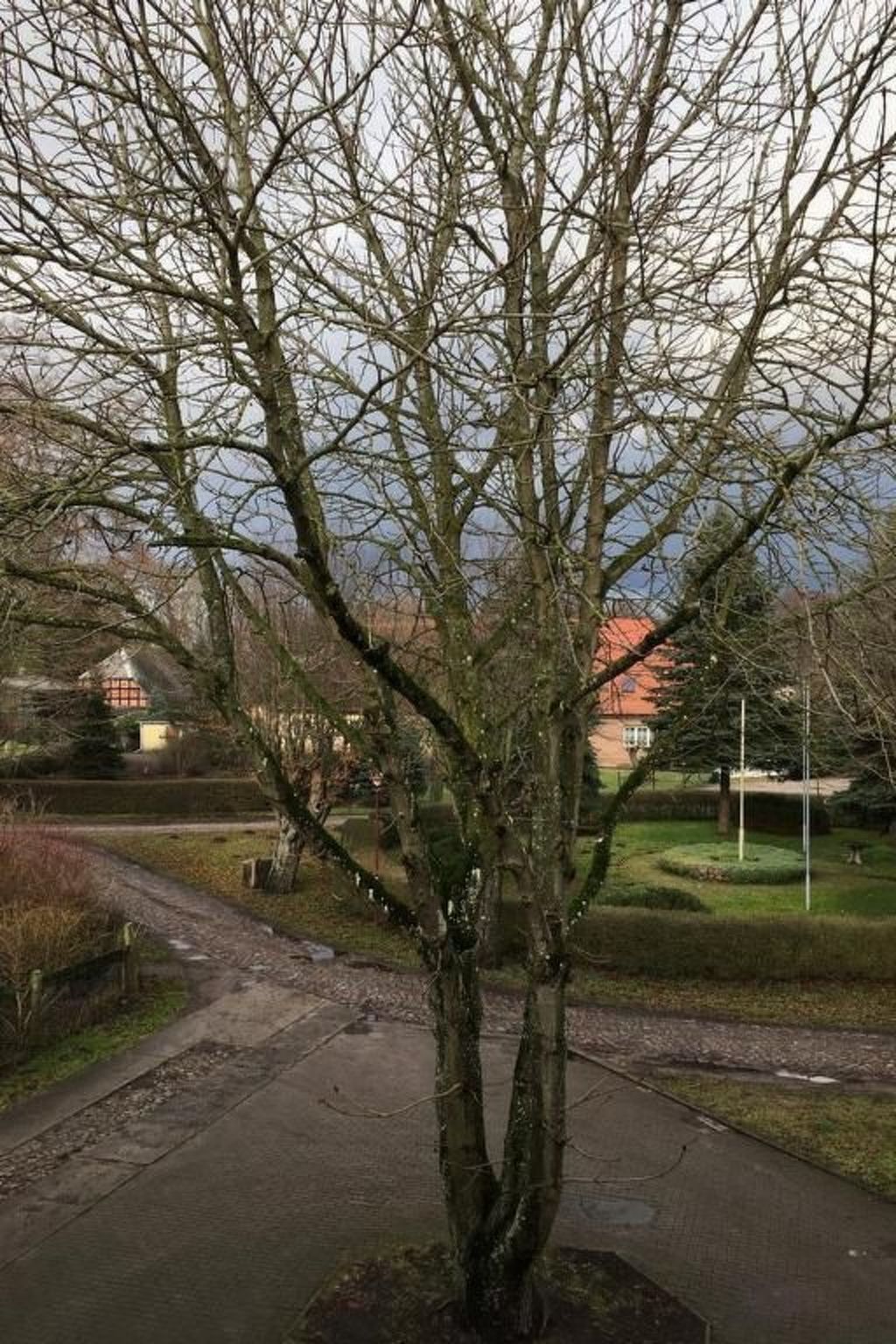 Kastanienblick-Binnen