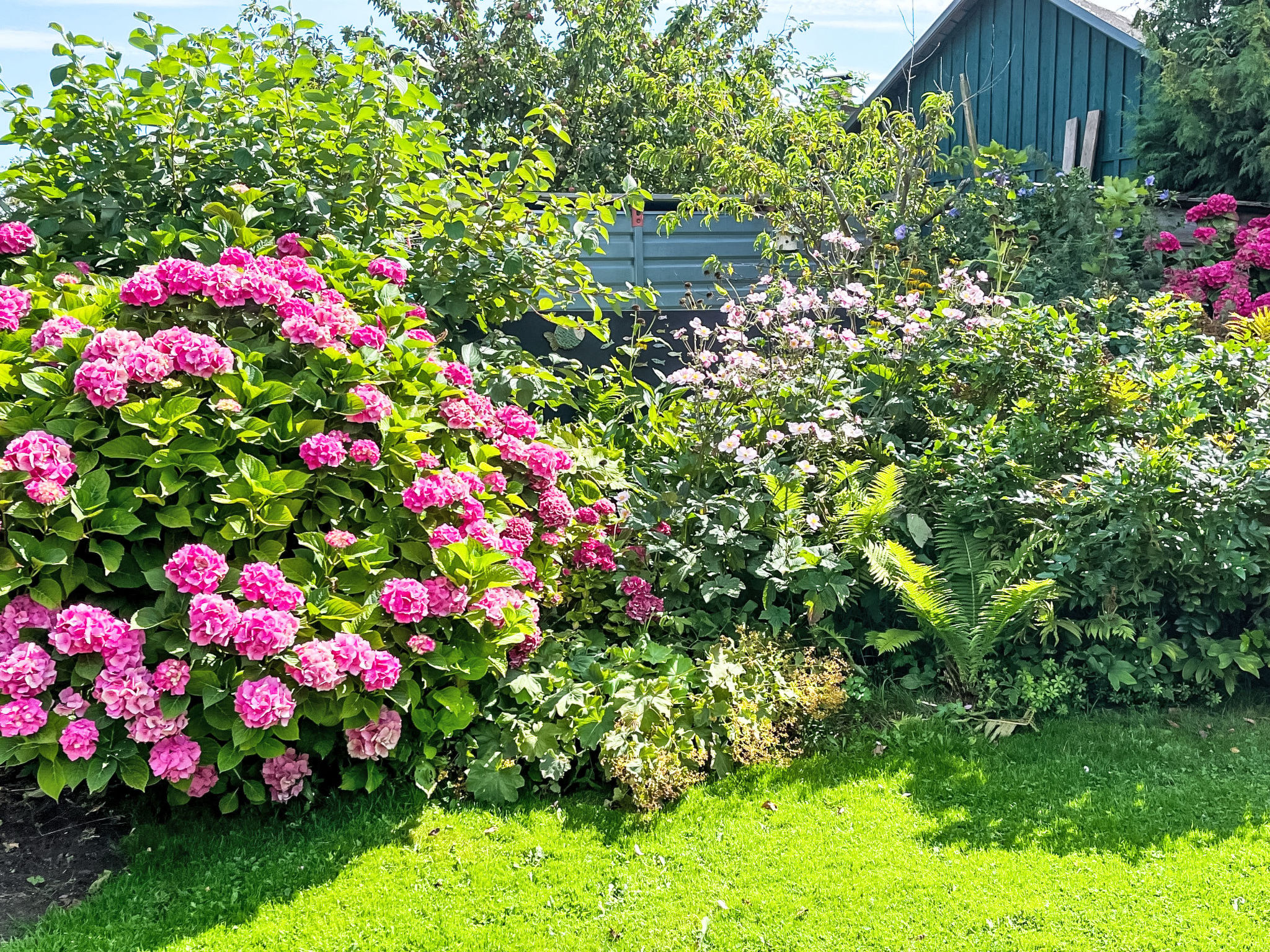 Morgensünn- Nette Wohnung in Althagen mit Terras - Buiten