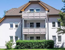 Möwenblick