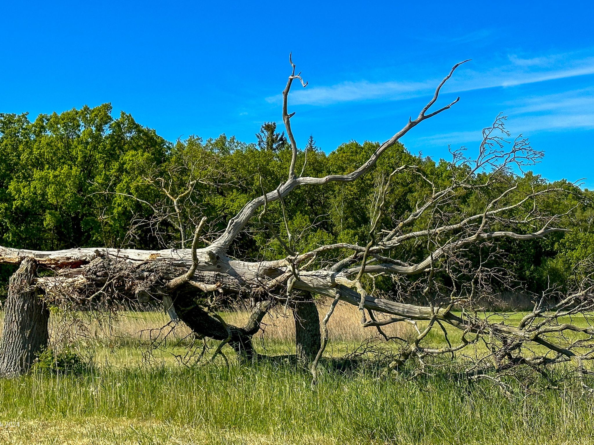Boddenblick Klausdorf Am Nationalpark-Image-tags.info