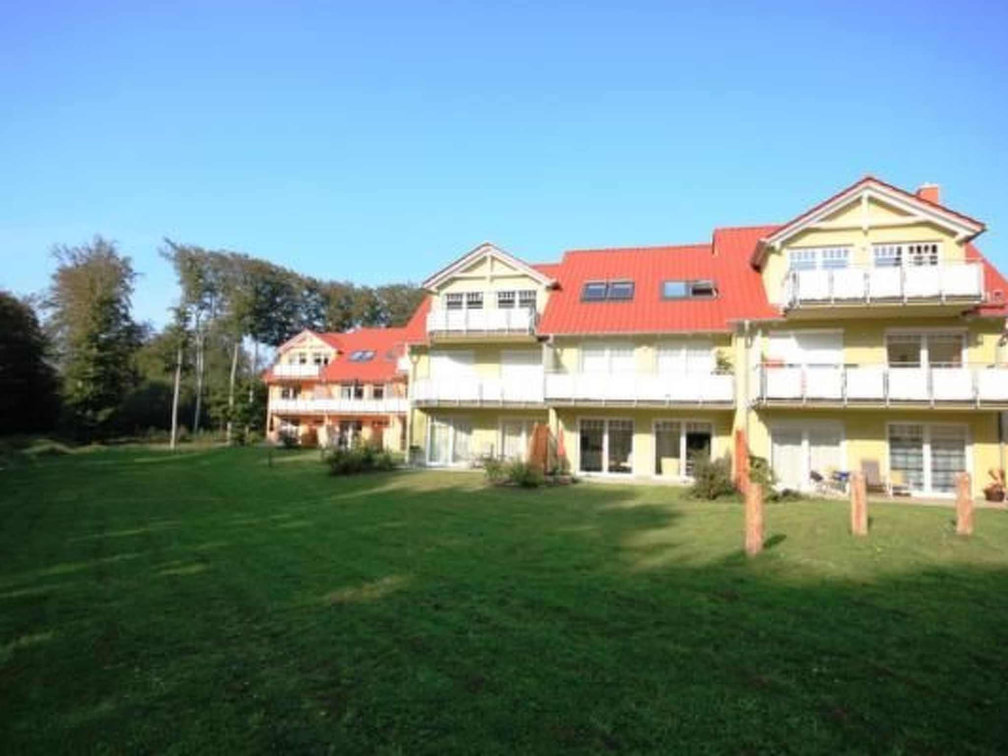 Kormoran-Image-tags.info