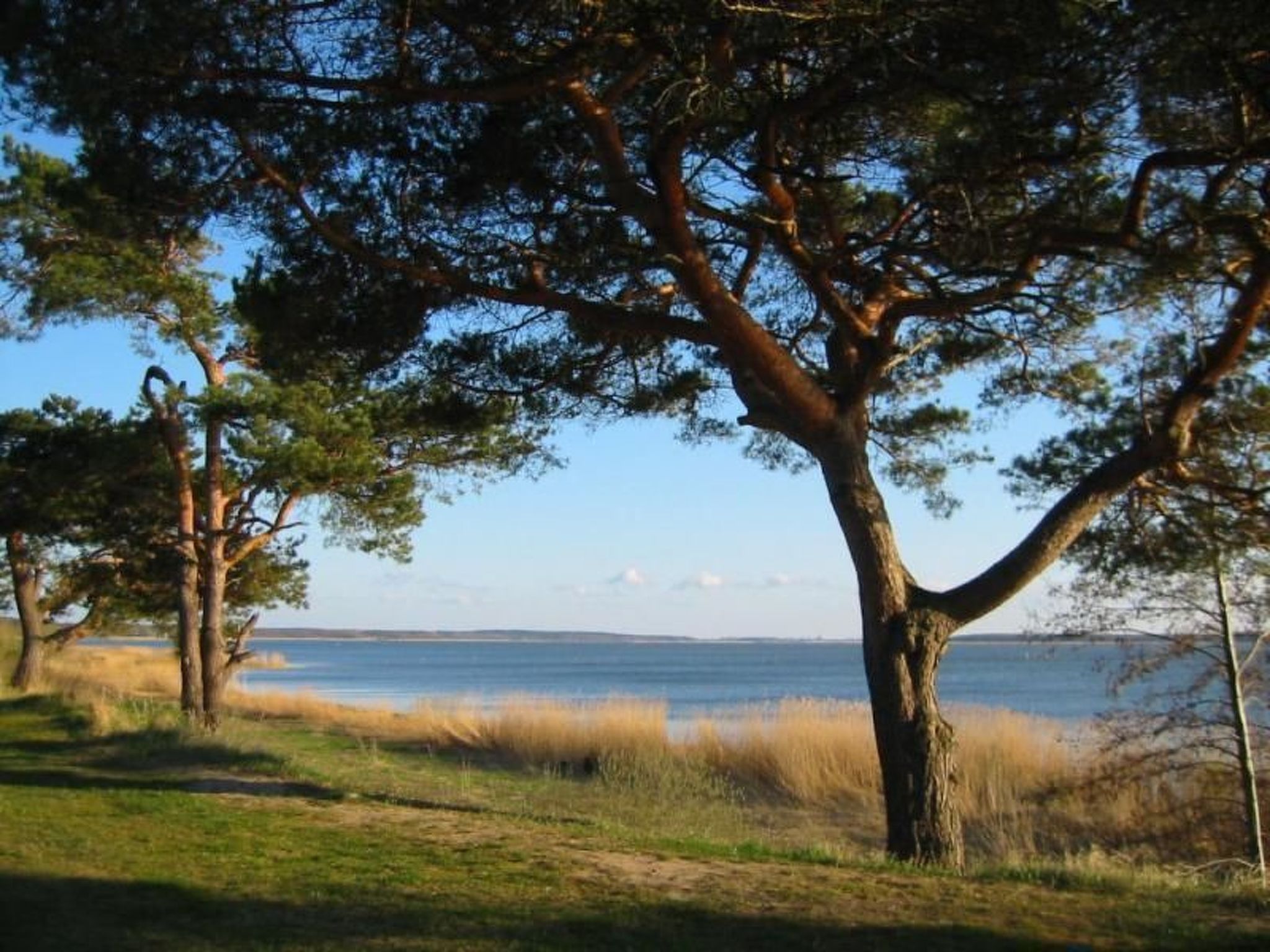 Am Buchenhain in Koserow-Binnen