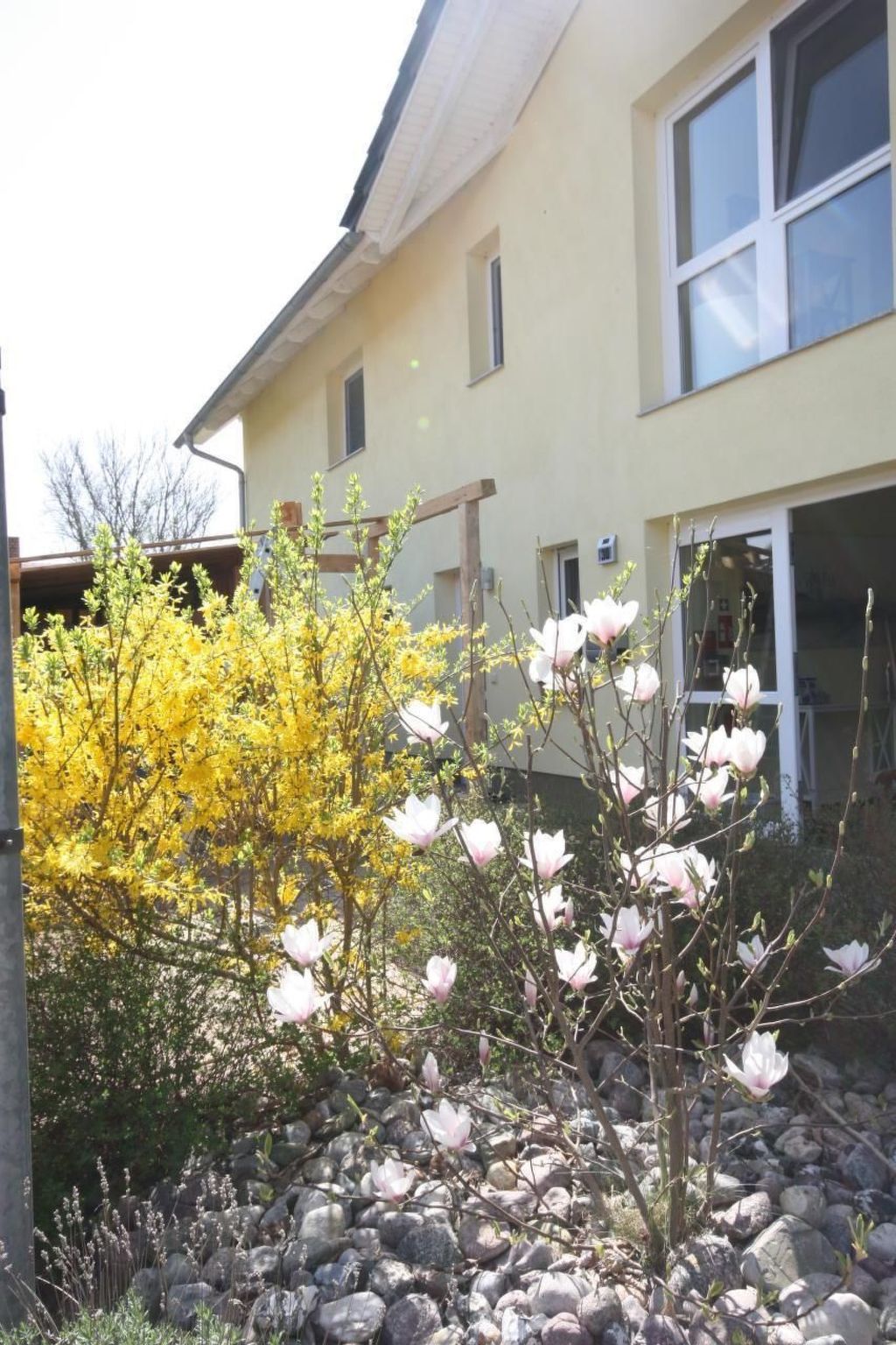 Black Pearl-Image-tags.info