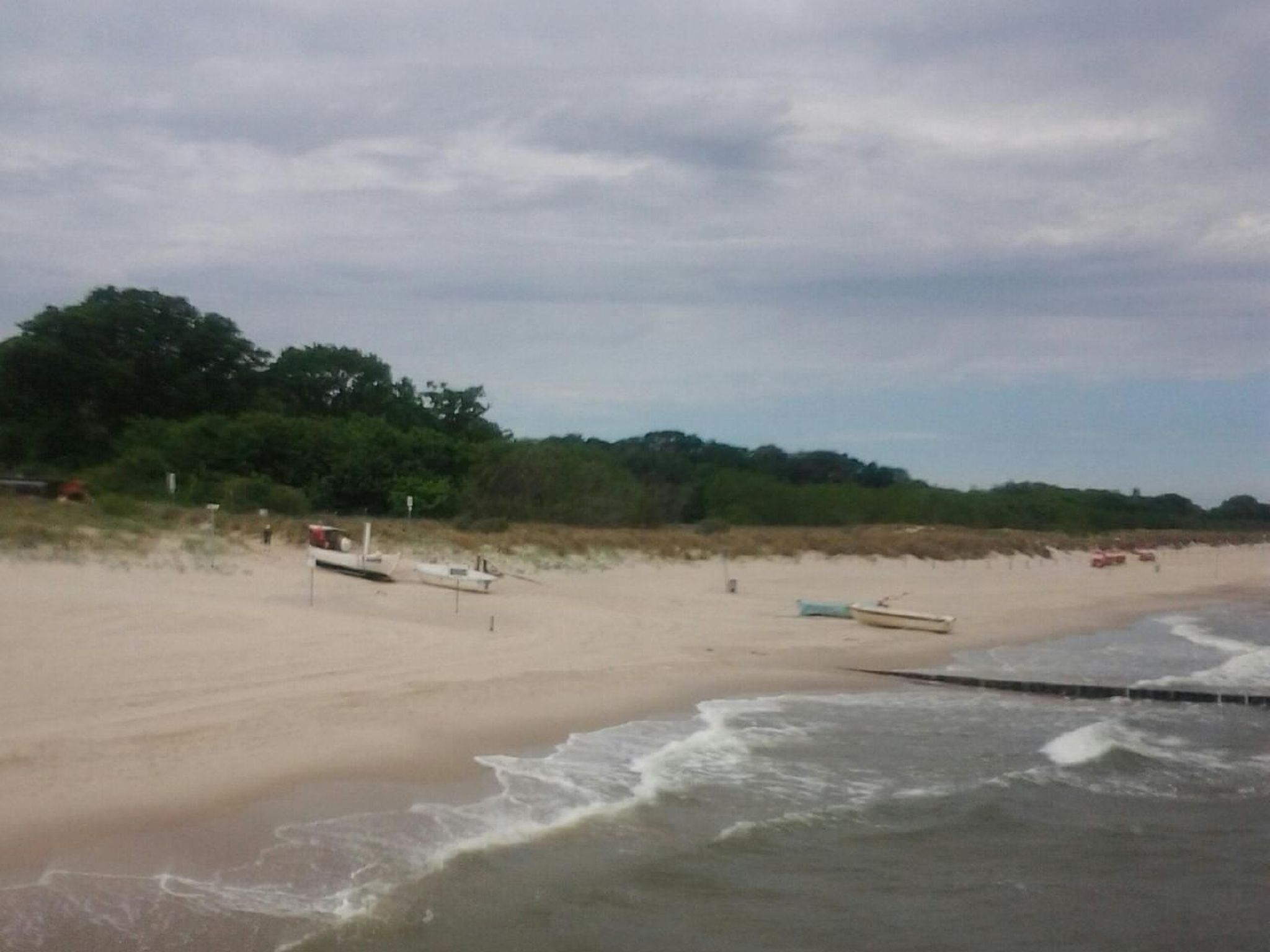 Black Pearl-Image-tags.info