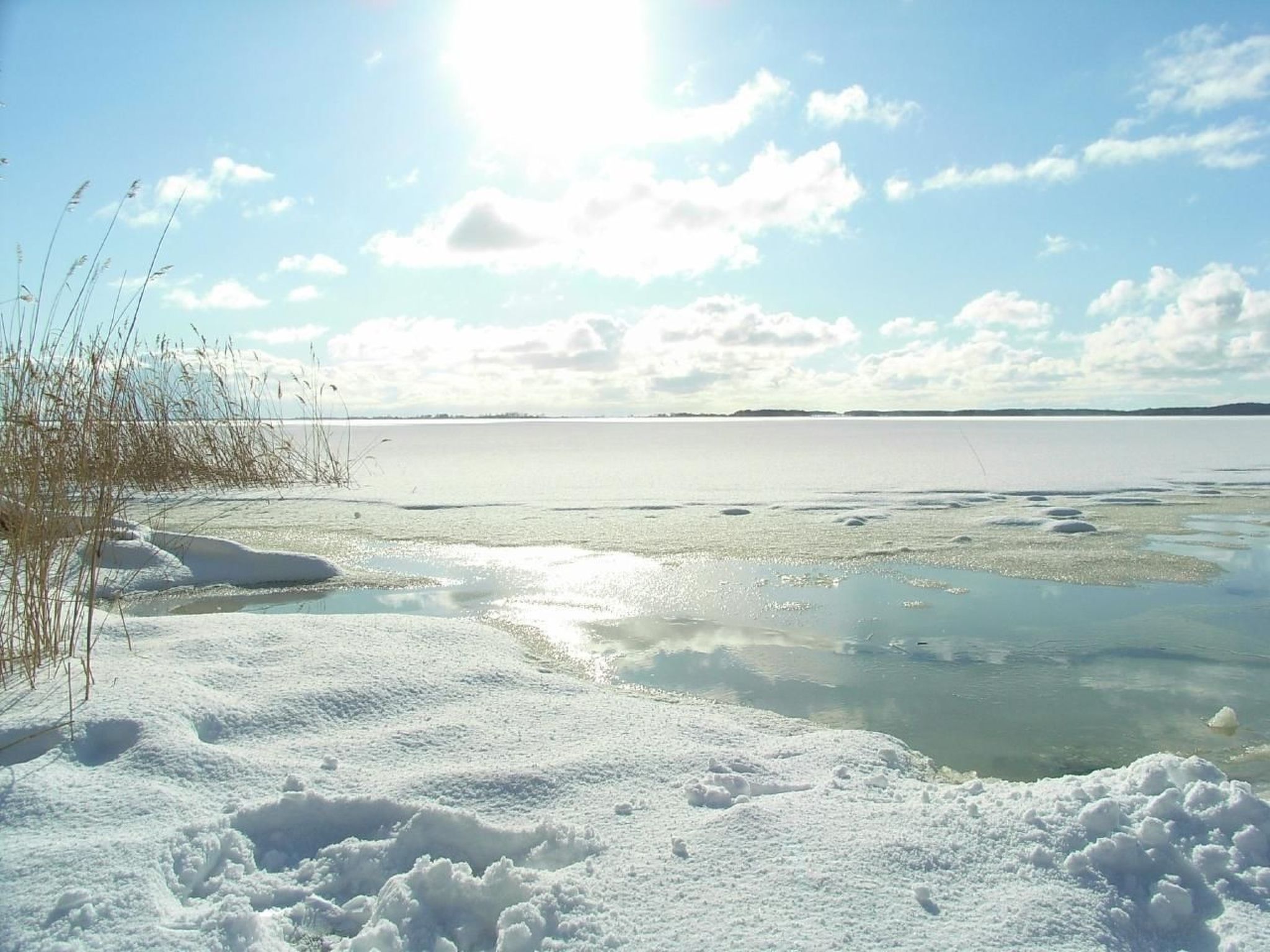 Black Pearl-Image-tags.info