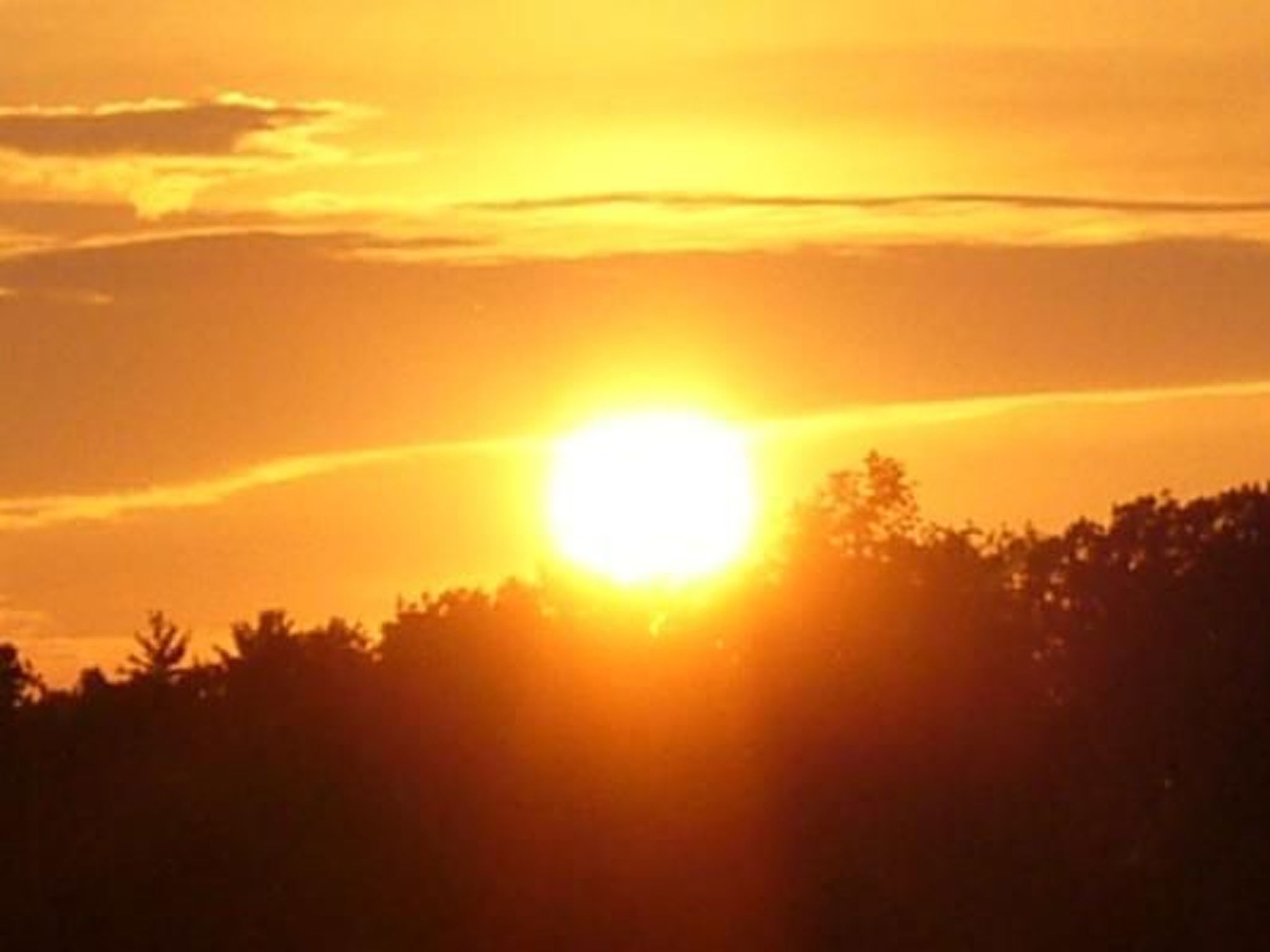 Gemütliche Wohnung mit Grill und Garten-Outside