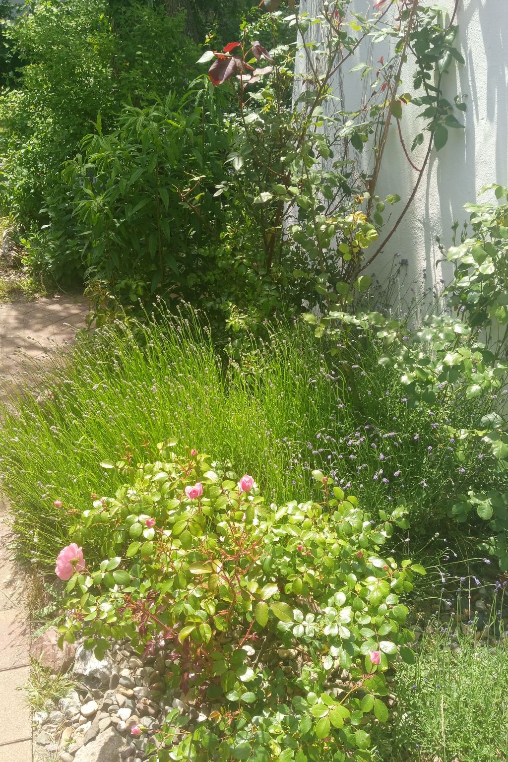 Butje-Image-tags.info