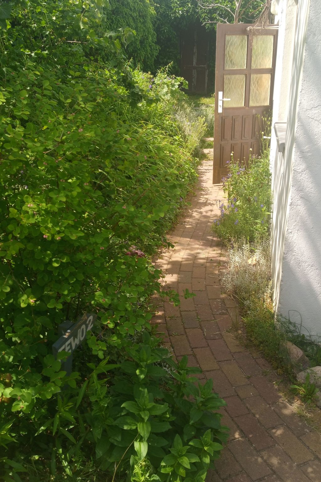 Butje-Image-tags.info