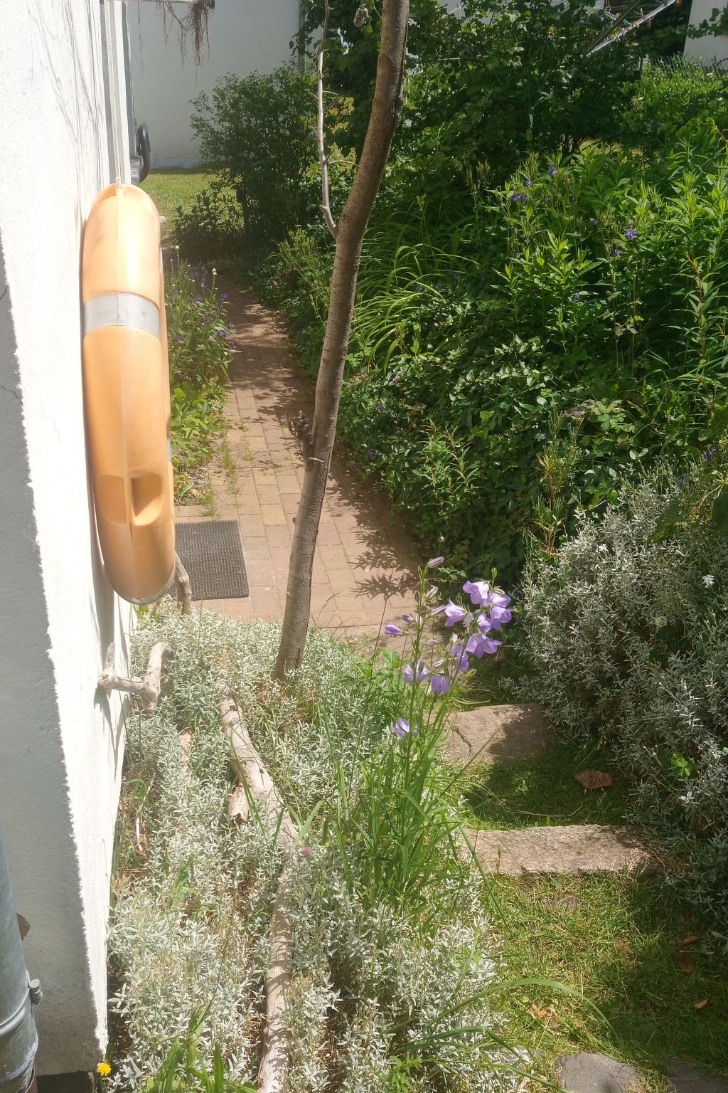 Butje-Image-tags.info